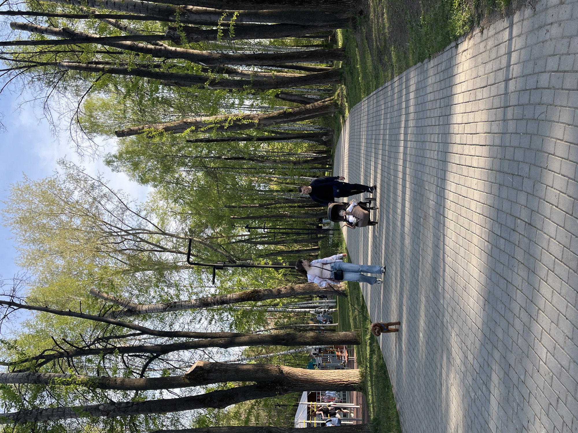 The image depicts a paved pathway in a park setting, likely in the city of Yekaterinburg, Russia. Tall trees line both sides of the path, casting shadows on the pavement. Three people are visible on the path: a woman in jeans, a white shirt, and a black purse walking a small dog; and a man pushing a stroller with a baby inside. Other individuals are visible in the background near a structure resembling a restaurant or playground. The sky is partly visible through the trees.