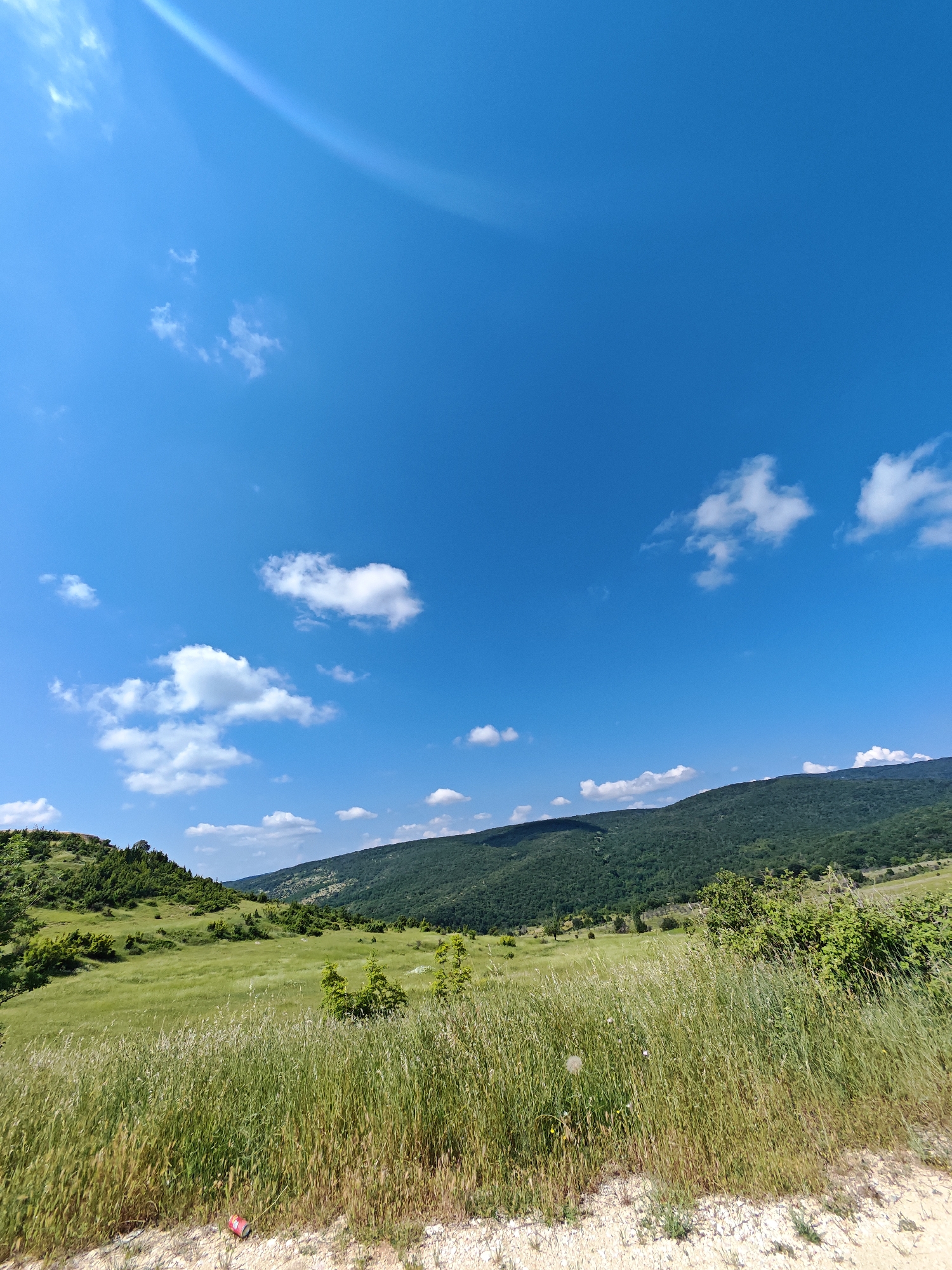 The image displays an expansive outdoor landscape under a bright, clear blue sky with scattered white cumulus clouds. A diagonal light flare is visible in the upper left portion of the sky. The scene is characterized by rolling hills and mountains in the midground and background, densely covered with green vegetation, including forests and grassy areas, indicative of the natural environment around Ivaylovgrad, Bulgaria. The foreground is dominated by tall, unkempt grasses, a mix of green and dried stalks. A light-colored dirt path or road runs along the bottom edge of the frame. A single red and white aluminum beverage can is present, lying on its side on this dirt path in the lower left corner. No people, animals, or active subjects are depicted.
