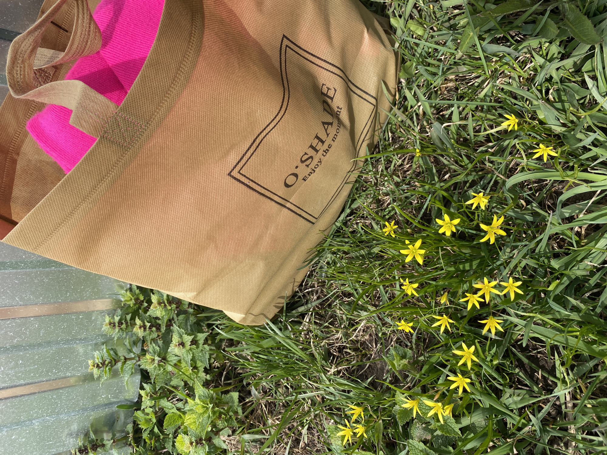 The image shows a tan reusable shopping bag with the logo "O'SHAPE Enjoy the moment" lying on grass. A bright pink item is partially visible inside the bag. Small yellow flowers are scattered amongst the grass. A corrugated, translucent material is visible in the lower left of the image, near green leafy plants.