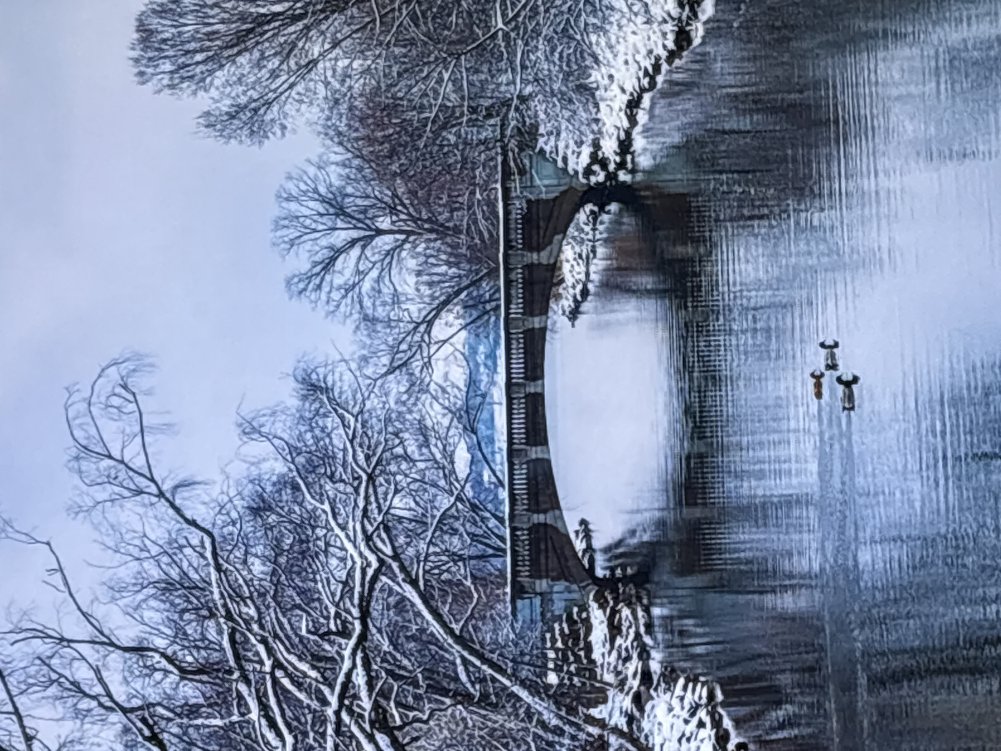 The image depicts a serene winter scene in Krasnokamsk, Russia, featuring a bridge spanning a calm river. The bridge is an arched stone structure with decorative balustrades. The riverbanks are covered in snow, and the trees lining the banks are bare of leaves, their branches dusted with snow, creating a delicate, intricate network against the pale sky. The water reflects the muted colors of the sky and the stark branches, creating a sense of depth and tranquility. In the foreground, three ducks are swimming on the water, their dark forms a contrast to the surrounding white snow and the soft blues of the water and sky. The overall atmosphere is peaceful and still, characteristic of a winter landscape.