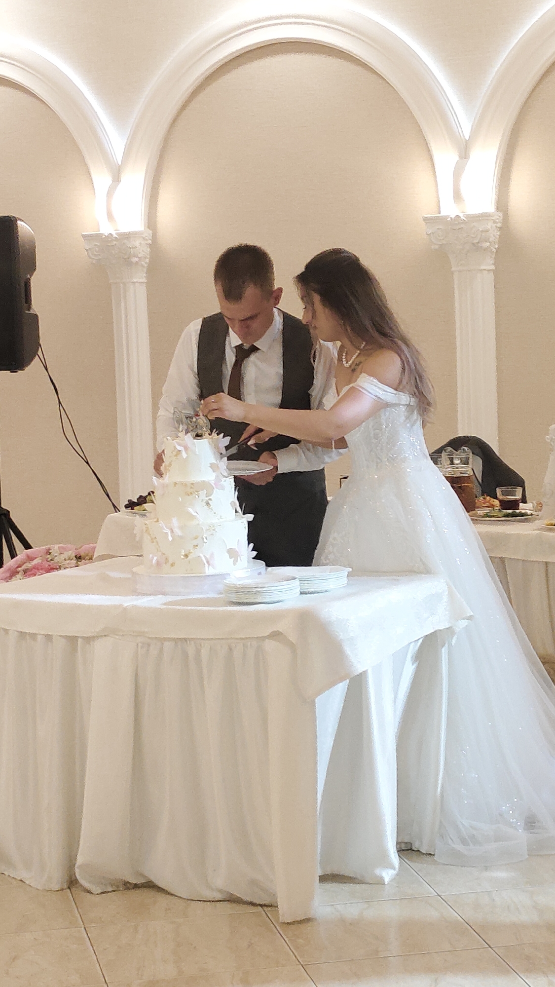 A man and a woman are cutting a three-tiered white wedding cake. The man is wearing a white shirt, a dark vest, and a dark tie. The woman is wearing a white off-the-shoulder wedding dress. They are both holding knives and are in the process of cutting the cake. The cake is decorated with white butterflies and has a silver topper. The cake is on a table covered with a white tablecloth. There are stacks of plates on the table. In the background, there are columns and arches with ornate carvings, and lighting that suggests an indoor event space, possibly a banquet hall or restaurant. To the left of the cake table is a black speaker on a stand. To the right of the cake table, another table is visible with drinks and some food items. The floor appears to be tiled. The overall setting indicates a wedding reception or a similar celebratory event. The image is taken from a medium distance, capturing the couple and the cake prominently. The lighting is soft and warm. The location is identified as Beryozovka, Russia.