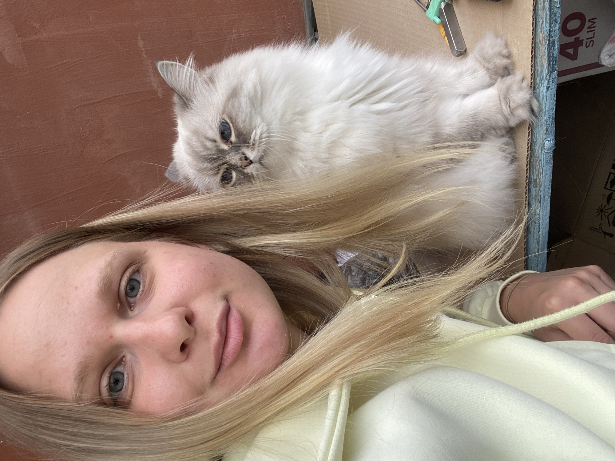 A young woman with blonde hair is taking a selfie with her cat. The woman is wearing a pale yellow hoodie and the cat is a fluffy white and grey breed. They are sitting on a surface that appears to be cardboard, which is resting on a blue ledge. In the background, there is a reddish-brown wall. To the right of the cat, a small silver and green object, possibly a tool, is visible. A box with "40 SLIM" printed on it is also in the background. The scene is outdoors, likely in Chaikovsky, Russia, as indicated by the location.