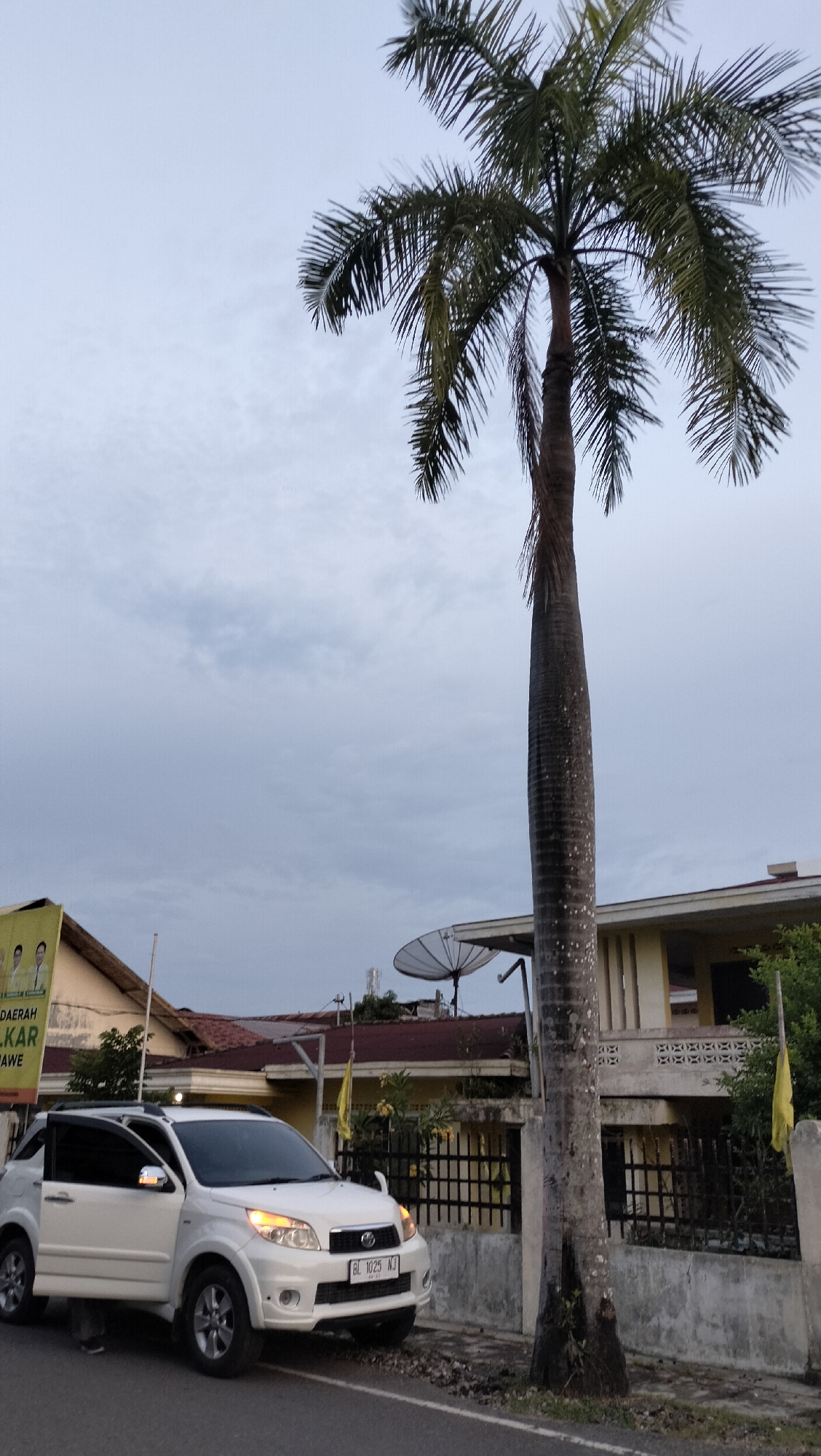The image depicts a street scene in Lhokseumawe, Indonesia, under an overcast sky. A tall, slender palm tree stands prominently in the foreground, its fronds reaching towards the sky. To the left of the palm tree, a white SUV is parked on the side of a paved road. The car's driver-side door is open, and a person's legs are visible stepping out. The vehicle has a license plate that reads "BL 1025 NJ". Behind the car and tree, a low-rise building with a light-colored facade and red-tiled roofs is visible, along with a black metal fence. A satellite dish is mounted on the roof of the building. Further back, a yellow banner with images of two men and Indonesian text is attached to a pole. The overall impression is that of a quiet residential or commercial street in the city.