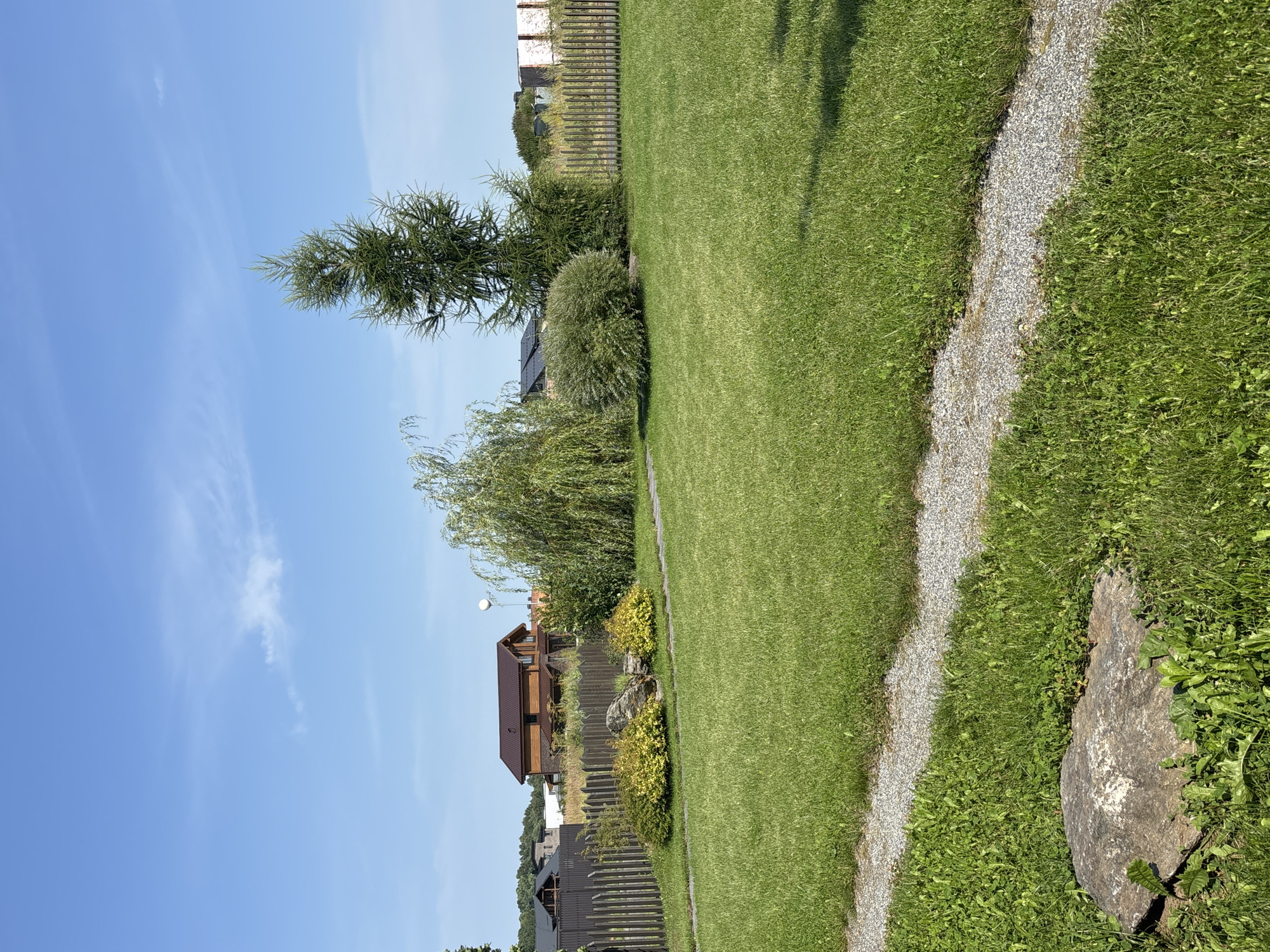 The image depicts a well-maintained residential backyard in Zvenigorod, Russia, under a clear blue sky with scattered wispy clouds. The foreground features a lush green lawn bisected by a gravel pathway that curves towards the right. To the left, a large, rough-textured grey boulder rests amongst green foliage.
Further into the yard, a wooden picket fence runs horizontally, bordering a section with decorative landscaping. This area includes two rounded bushes with yellow-green foliage and a medium-sized grey rock with some mossy growth. Beyond this, a weeping willow tree with long, drooping branches is visible. To its right, a dense, rounded green shrub and a tall, slender evergreen tree with a spiky silhouette stand prominently.
In the background, a two-story wooden house with a dark brown roof and visible windows is situated behind the fence. Several other residential buildings with dark roofs and fences can be seen further in the distance, suggesting a suburban or semi-rural setting. The overall environment suggests a peaceful, sunny day in a private garden.