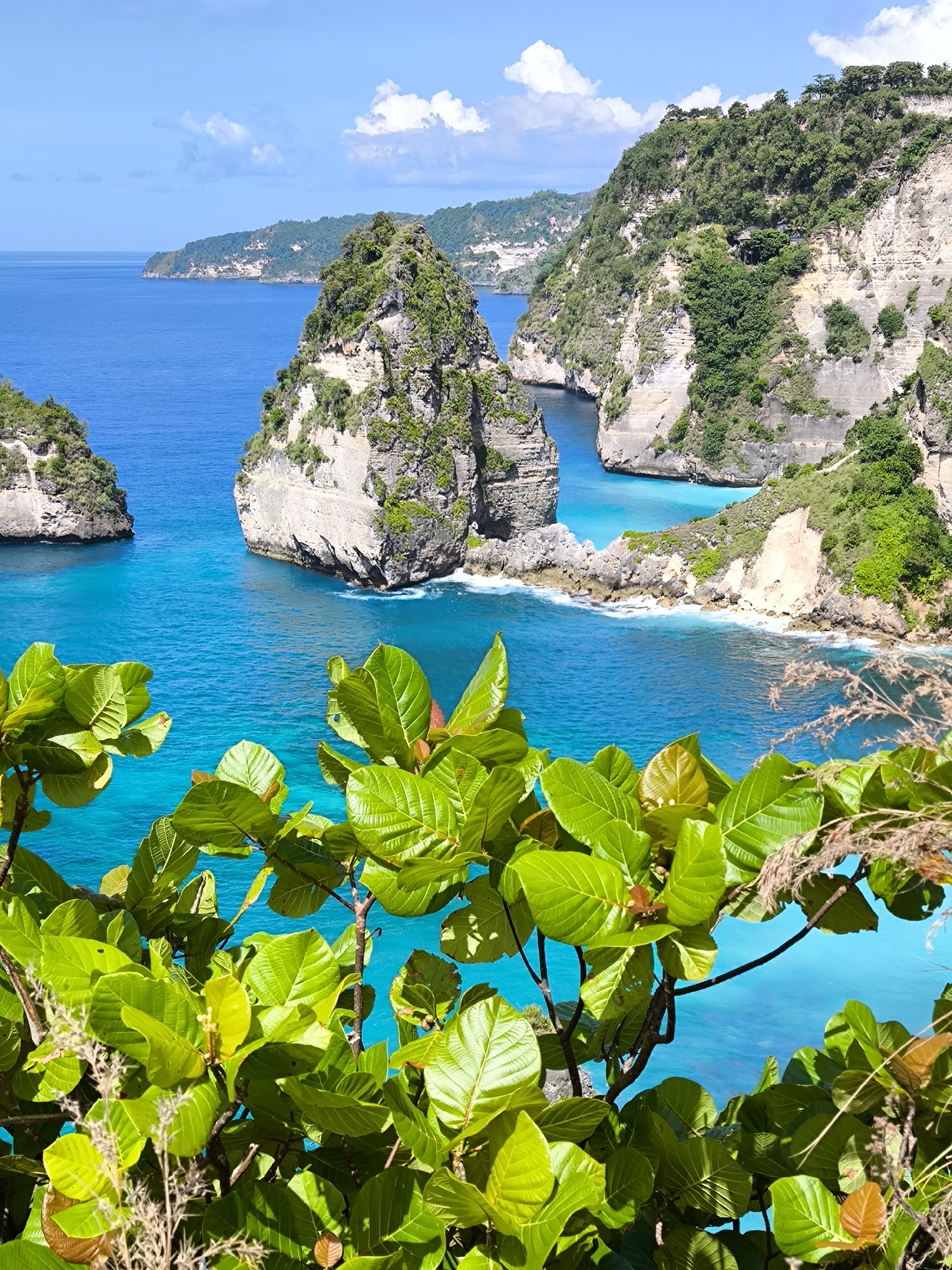 The image captures a scenic view of the coastline in Nusa Penida, Indonesia. Turquoise waters surround rocky islets, some covered with vegetation. Cliffs rise along the coast. Green foliage frames the lower portion of the image. In the distance, the horizon meets a blue sky with scattered clouds. The time of day is daytime.