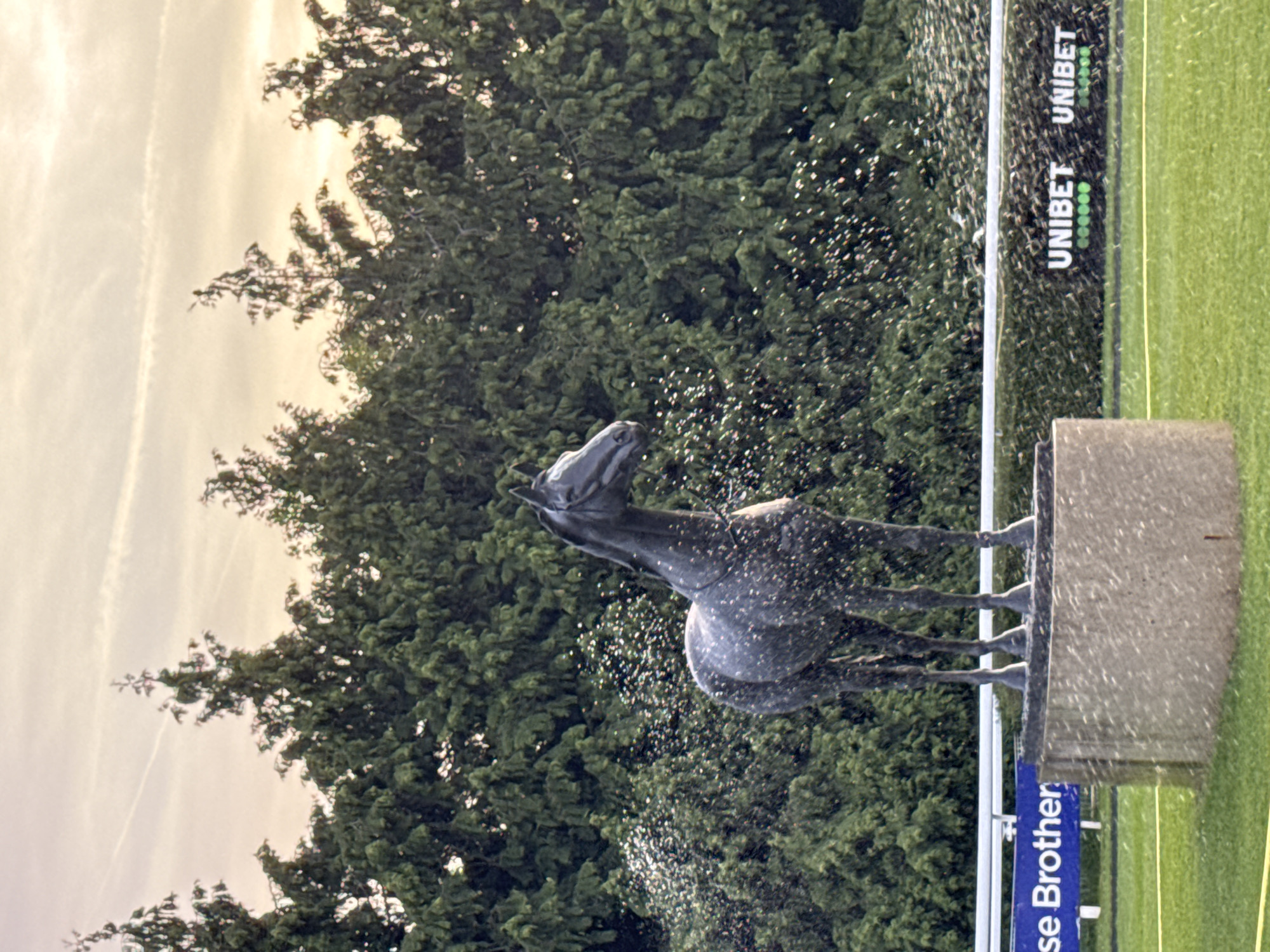 A sculpture of a horse stands on a block of stone, with water spraying upwards around it. The statue and fountain are set against a backdrop of trees and a cloudy sky. In the foreground, there is a sign with the words "Unibet" and "BetMGM", as well as "Chase Brother" on the right side of the image, which could suggest this is at a racetrack or equine event. The location is the Borough of Spelthorne, United Kingdom.