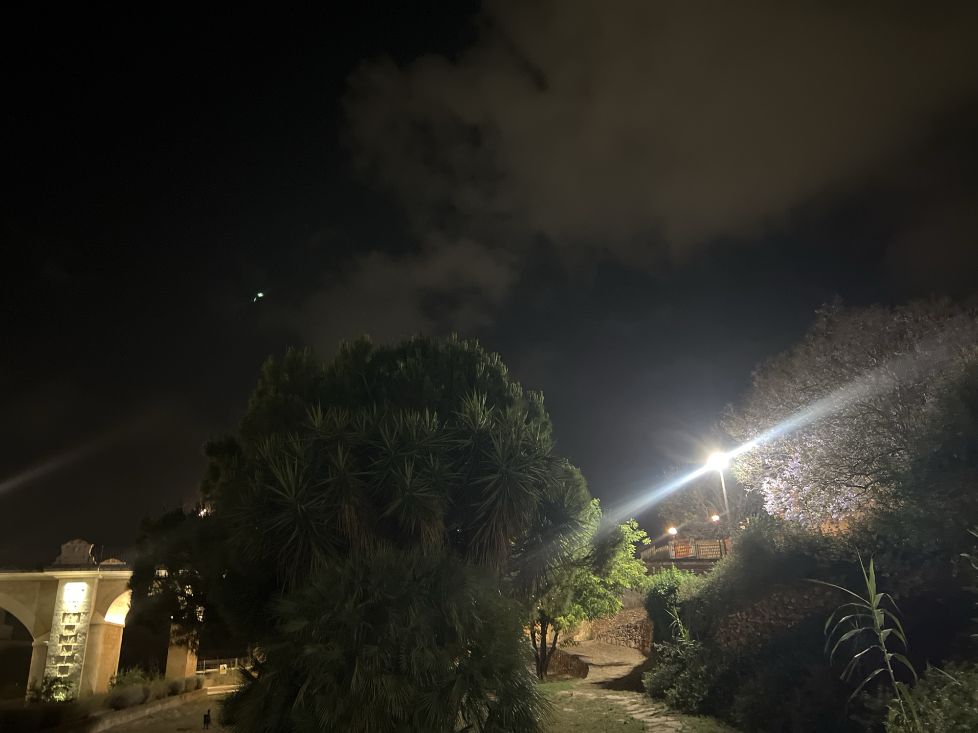 The image captures a nighttime scene in Picassent, Spain, presenting a lush, illuminated landscape under a dark, cloud-strewn sky. The time of day is clearly night, with no natural light visible, and artificial illumination playing a key role in defining the scene.
In the upper left quadrant of the dark sky, a distinct bright green light or object is visible, contrasting with the surrounding darkness and scattered clouds. These clouds are faintly illuminated from below by ambient light.
The foreground and mid-ground are dominated by dense, dark green foliage, including a prominent, large tree with spiky leaves, possibly a palm or yucca, positioned centrally. Various other trees and bushes create a rich, natural environment. A bright street lamp on the right side casts a strong light, creating a significant lens flare and illuminating a section of the canopy, revealing what appear to be purple-flowering trees or bushes.
On the far left, a light-colored stone architectural structure with arches, resembling an old aqueduct or bridge, is brightly lit from below, highlighting its textured surface. A winding pathway or dirt road is visible at its base, leading through the greenery. A small, dark figure, possibly an animal or a distant person, can be seen on this path near the structure. Further into the mid-ground on the right, behind the foliage, a raised platform or walkway with railings is also lit by ambient light from below.
No human activity is explicitly depicted, and the scene appears quiet and still. There is no visible text in the image. The overall impression is one of serene nighttime beauty, with the artificial lights creating a dramatic contrast against the dark landscape and sky.