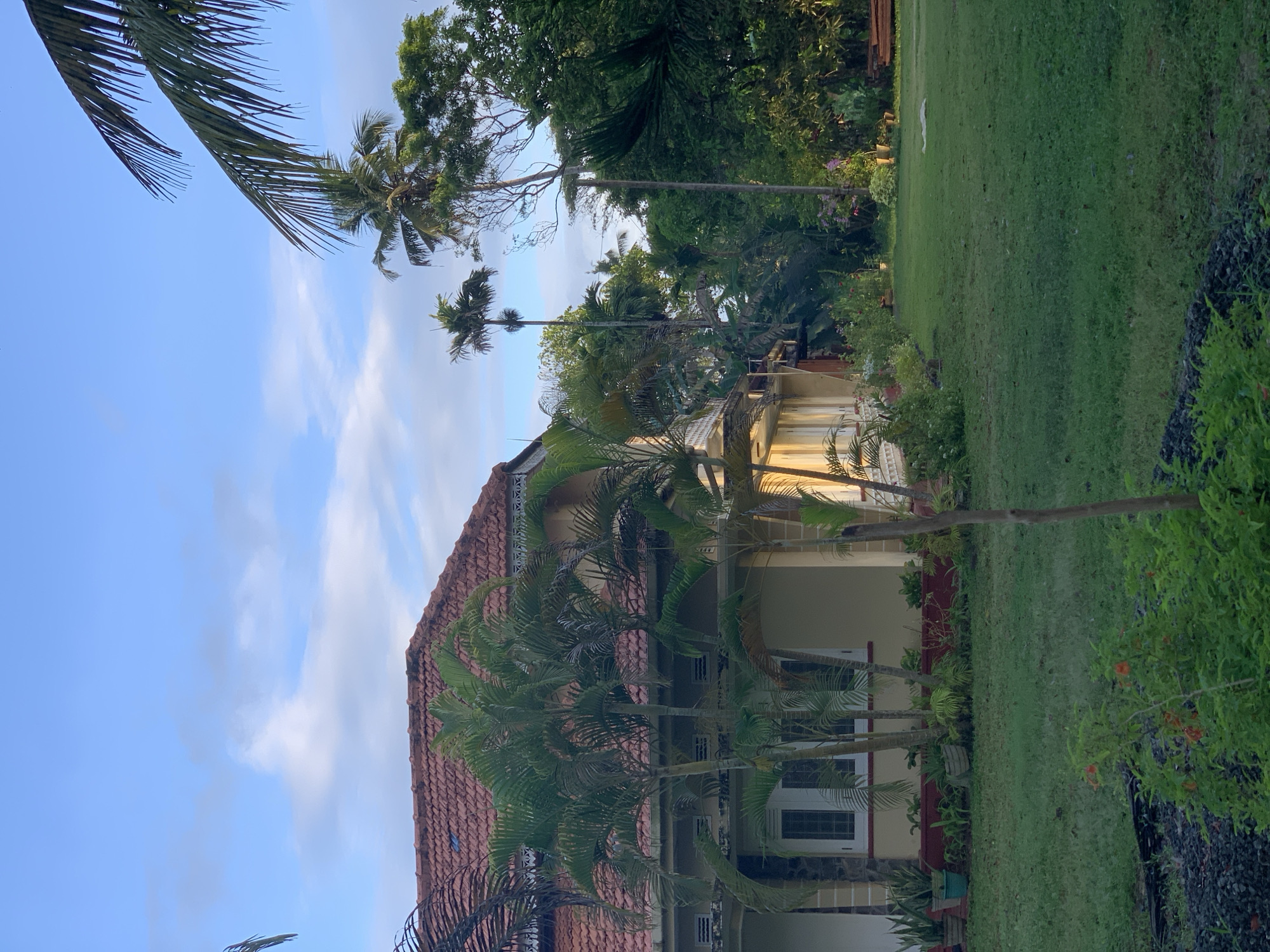 The image shows a house with a red tiled roof, surrounded by lush greenery and palm trees. The house has a light yellow facade and white-framed windows. A well-maintained lawn stretches out in front of the house, with various potted plants and small trees lining the building. In the background, dense tropical vegetation creates a natural boundary. The sky above is a pale blue with scattered white clouds. The scene appears to be a tranquil residential area in Kabalana, Sri Lanka, likely captured during the early morning or late afternoon due to the soft, warm light. There are no people or animals visible in the image. The overall impression is one of peacefulness and natural beauty.