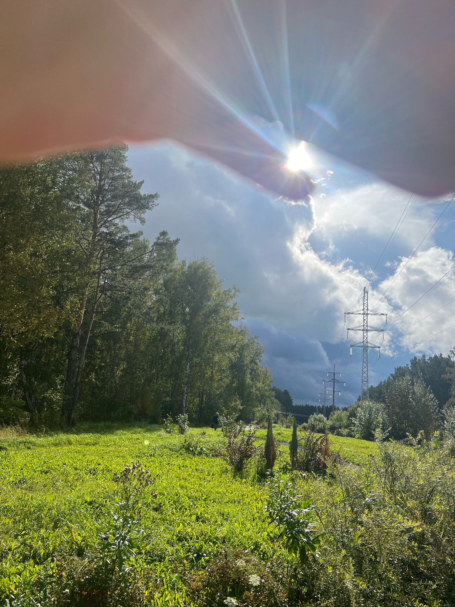 The image depicts a sunlit meadow with trees on the left and a power line tower on the right. The sun is partially obscured by clouds and a hand, creating lens flare. The meadow is covered in green grass and various plants. In the background, there are more trees and another power line tower. The scene appears to be an outdoor landscape, possibly in a rural or park-like setting. It is not possible to determine the specific location in Krasnoyarsk, Russia from the image alone.