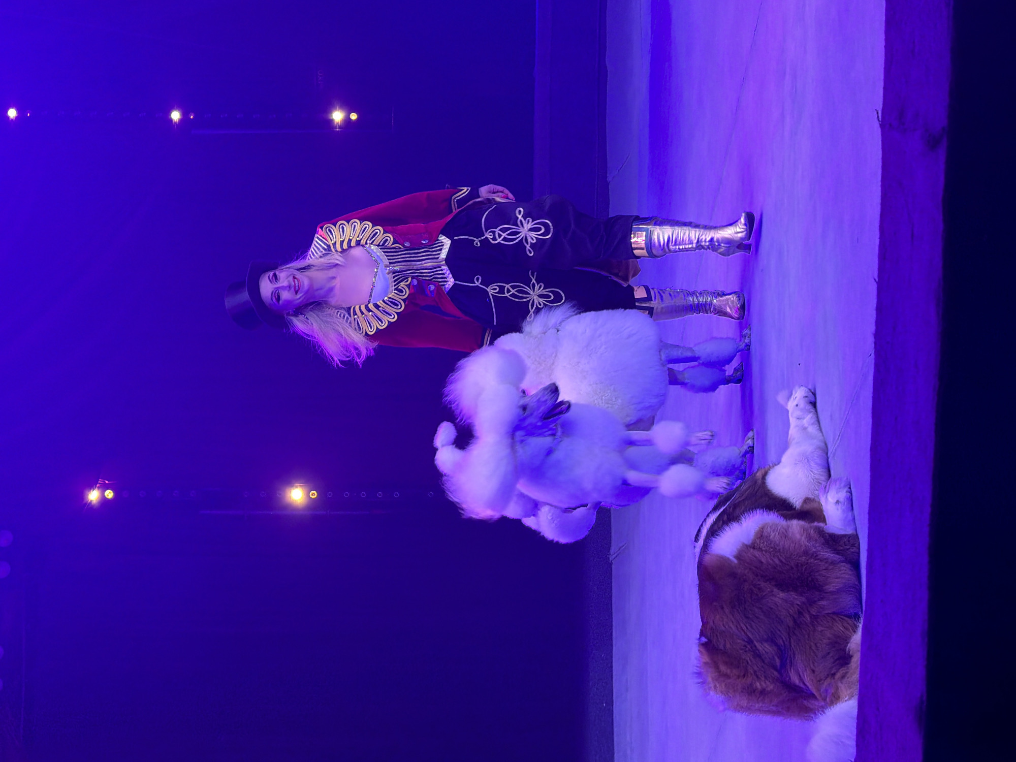 A female circus performer, wearing a red and gold jacket, black pants, and a top hat, stands on a purple-lit stage next to two white poodles. A brown and white dog lies on the stage in front of the poodles. The background is a dark, out-of-focus wall with lights.