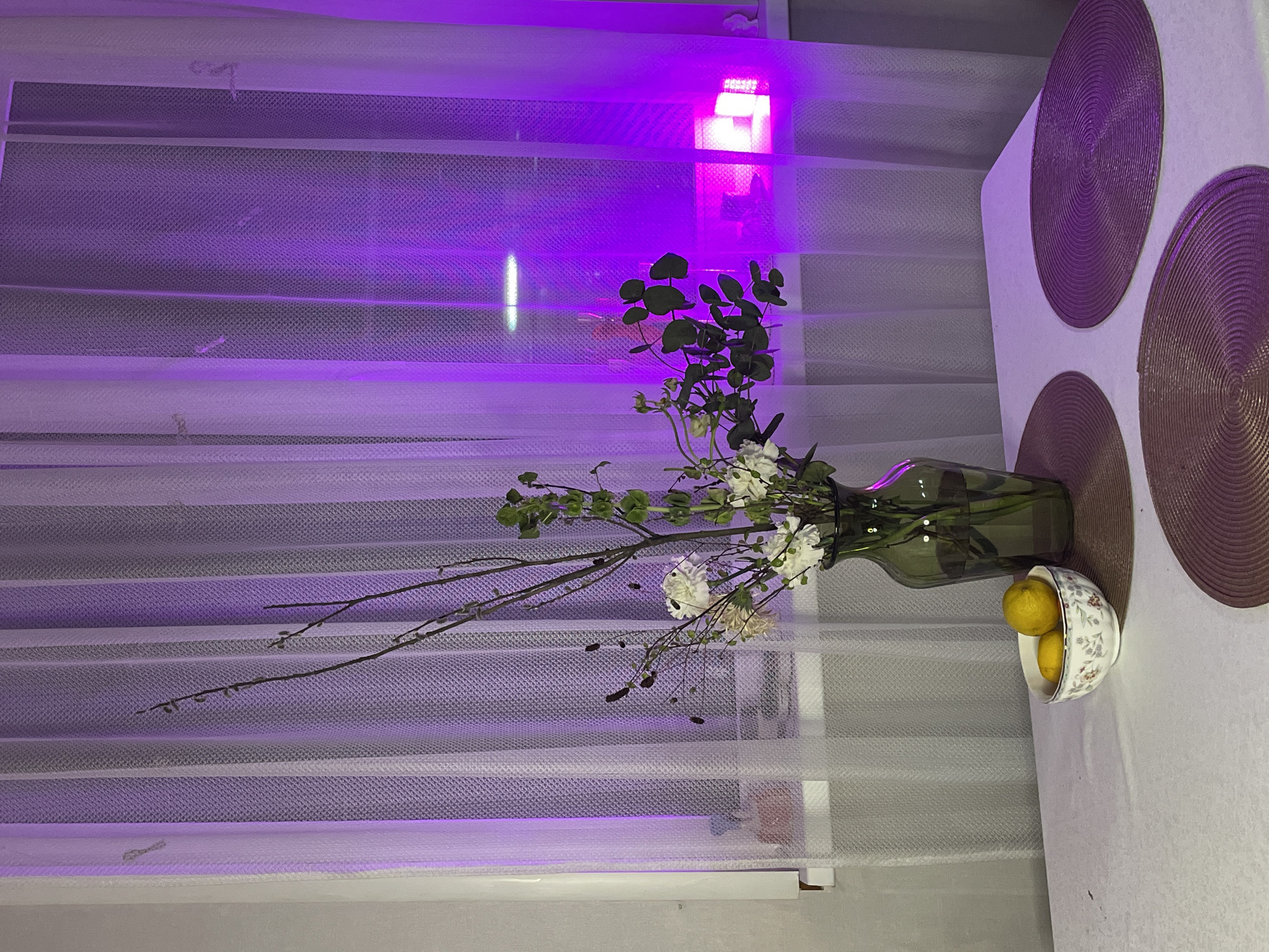 This media file captures an indoor scene at night, likely in Khimki, Russia, characterized by strong purple artificial light emanating from outside a window. The image features a table situated next to a window, illuminated by the vibrant light filtering through white translucent blinds.
On the right side of the frame, a white table holds three round, woven placemats in a brownish-purple shade. A tall, dark green glass vase contains a floral arrangement of white and cream-colored flowers, delicate green foliage, and several bare, dark branches with small buds. Adjacent to the vase, a white ceramic bowl adorned with a subtle floral pattern holds two bright yellow lemons.
The left side of the image is dominated by the window, covered by white horizontal blinds that alternate between sheer and opaque sections. The intense purple light source is prominently visible through the sheer parts of the blinds, appearing as a bright rectangular glow in the upper section and a fainter, elongated reflection lower down. The artificial lighting creates a distinct, somewhat ethereal atmosphere within the room. There are no people visible, nor is any text present in the image.