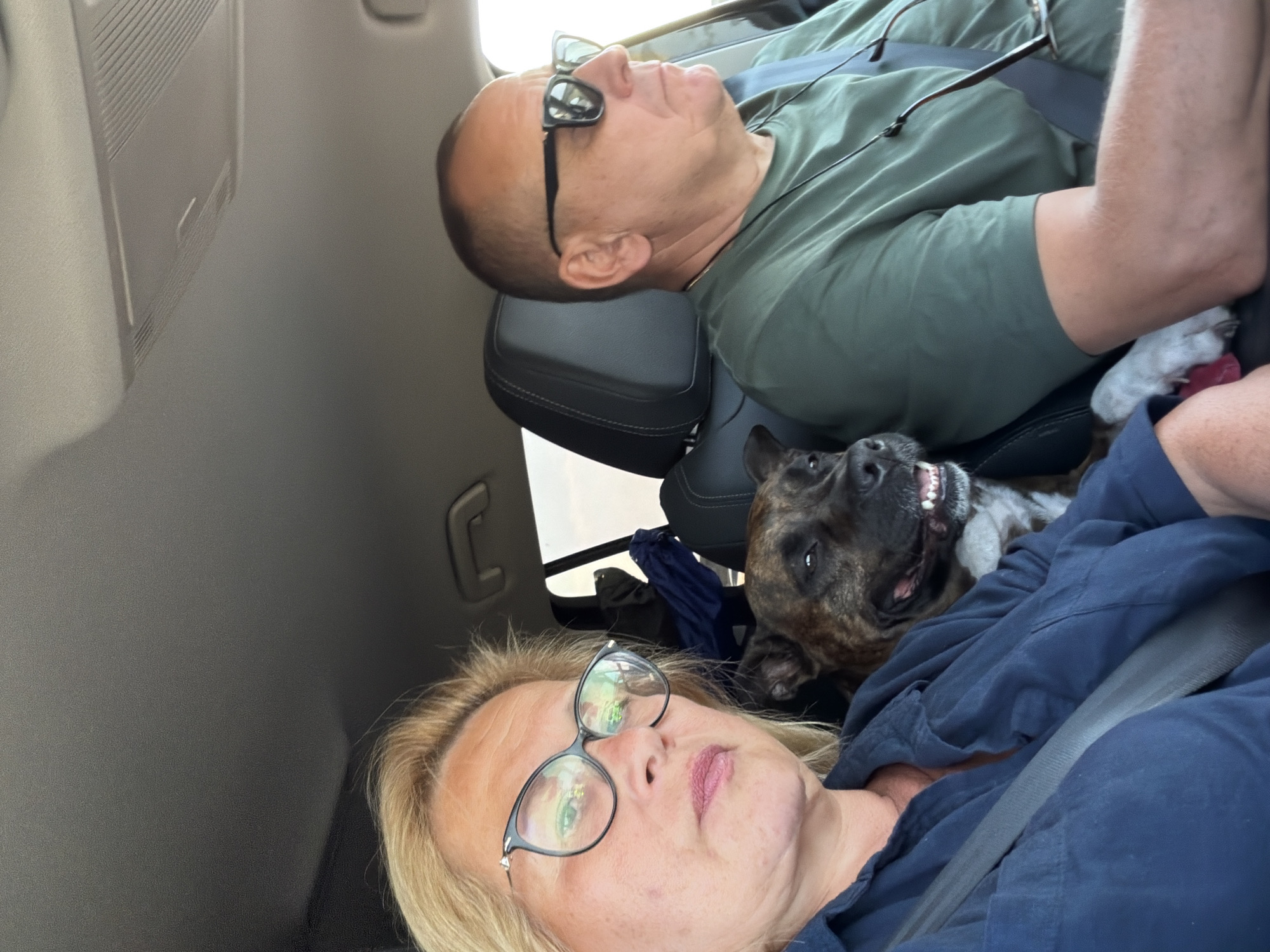 The image captures a snapshot inside a vehicle, likely a car, showing three occupants and the interior of the car. In the foreground, a woman with blonde hair and glasses is seated on the left, wearing a dark blue shirt. Next to her, in the center, is a dog with brindle fur, looking towards the camera. To the right of the dog, a man with short hair and sunglasses is seated, wearing a green t-shirt. Both individuals are wearing seatbelts. The background reveals the car's interior, including headrests, the ceiling, and a vent. The lighting suggests it is daytime, possibly in an outdoor setting given the light filtering into the car. The image does not contain any information that allows for a specific location in Brno, Czechia, to be identified.