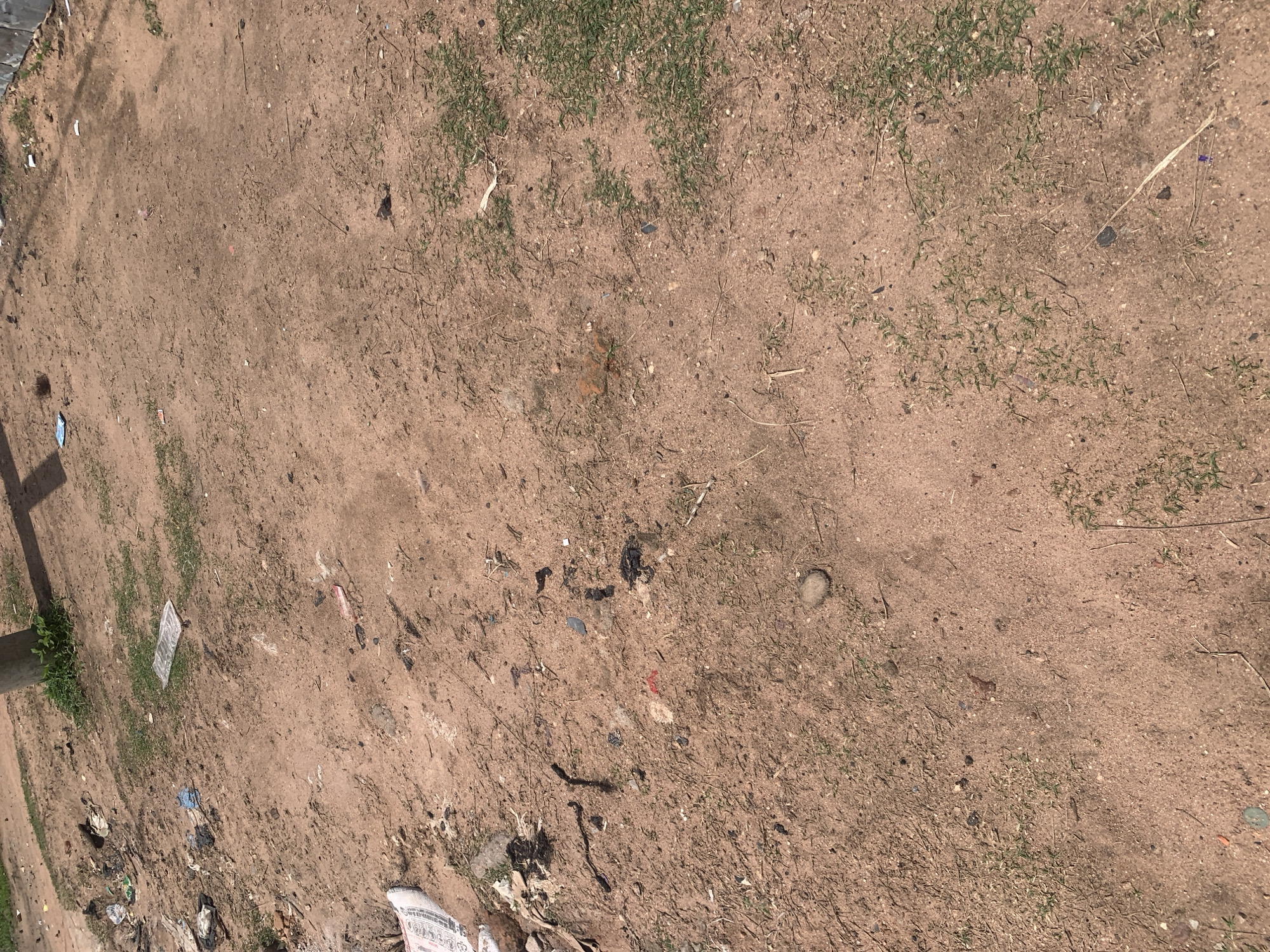 The image depicts a dusty, reddish-brown ground surface with sparse patches of dry grass and scattered debris. The debris includes small pieces of plastic, paper, and what appears to be charcoal or dark soil. A piece of white fabric with black text is visible in the lower left quadrant. The environment suggests an outdoor area, possibly a roadside or undeveloped lot. The image is taken from a high-angle perspective, looking down at the ground. There are no people visible in the image. The scene is consistent with an area in Jauro Yinu, Nigeria, where such ground conditions and debris are common.