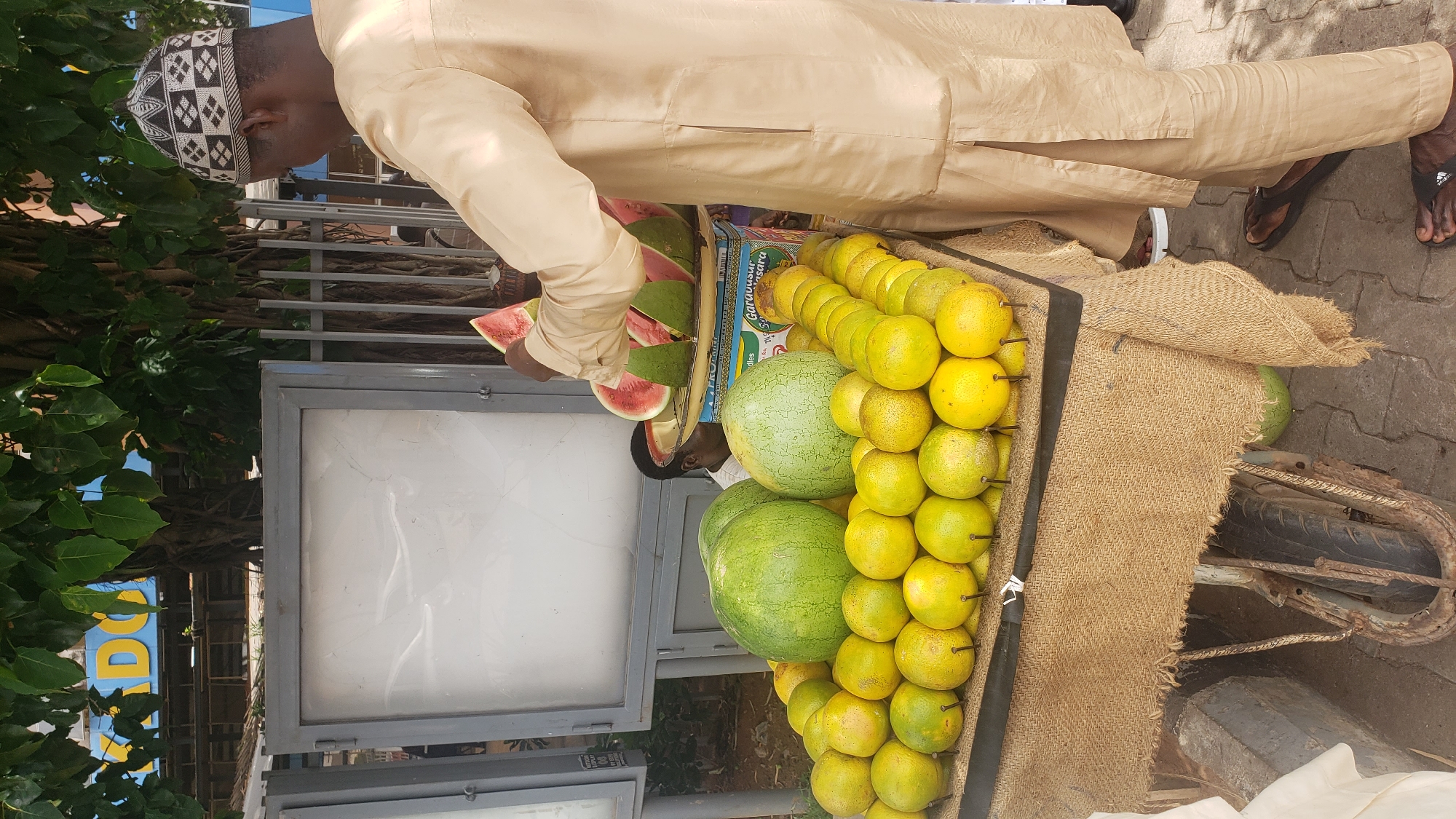 In Unguwar Shanu, Nigeria, a man wearing a traditional tan tunic and a patterned kufi cap is seen at a fruit stall. He is in the process of cutting a slice of watermelon, which is displayed on a metal tray alongside several other cut pieces of watermelon. The stall itself is laden with a large quantity of oranges arranged in rows and two substantial watermelons. The stall is covered with a burlap fabric, and part of a cart wheel is visible beneath it, indicating it is a mobile vendor. In the background, a tree with lush green leaves provides shade, and a glimpse of a building with yellow signage can be seen. Another individual, partially obscured, is visible behind the fruit display.