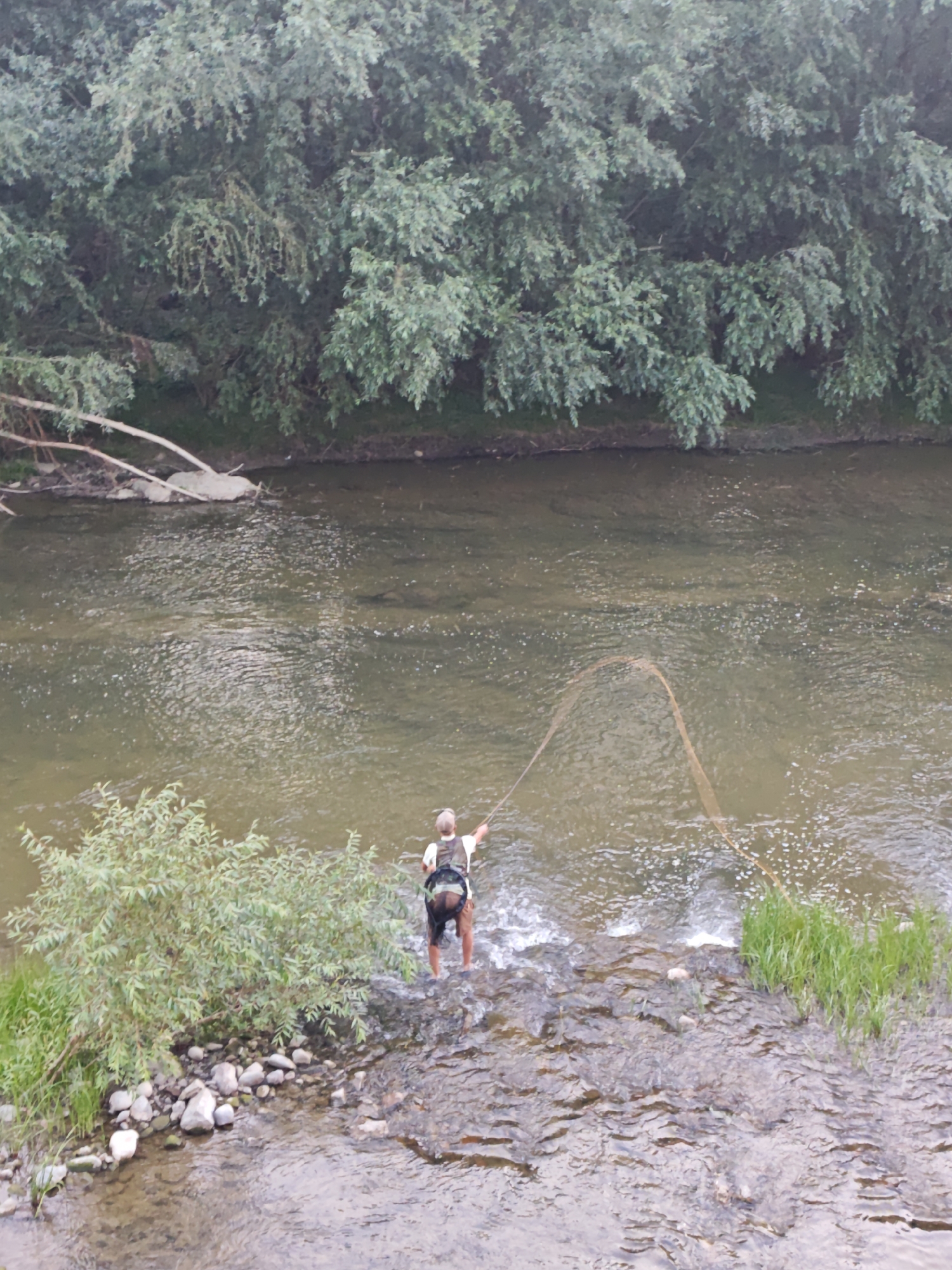 A single person is fishing in a shallow, rocky river. The person is standing in the water, wearing a white t-shirt, shorts, and a backpack. They are casting a fishing net. The riverbank is lined with trees and grass. The scene is captured from a high vantage point, looking down at the river. The water is clear enough to see the rocks on the riverbed. The overall atmosphere is serene and natural.