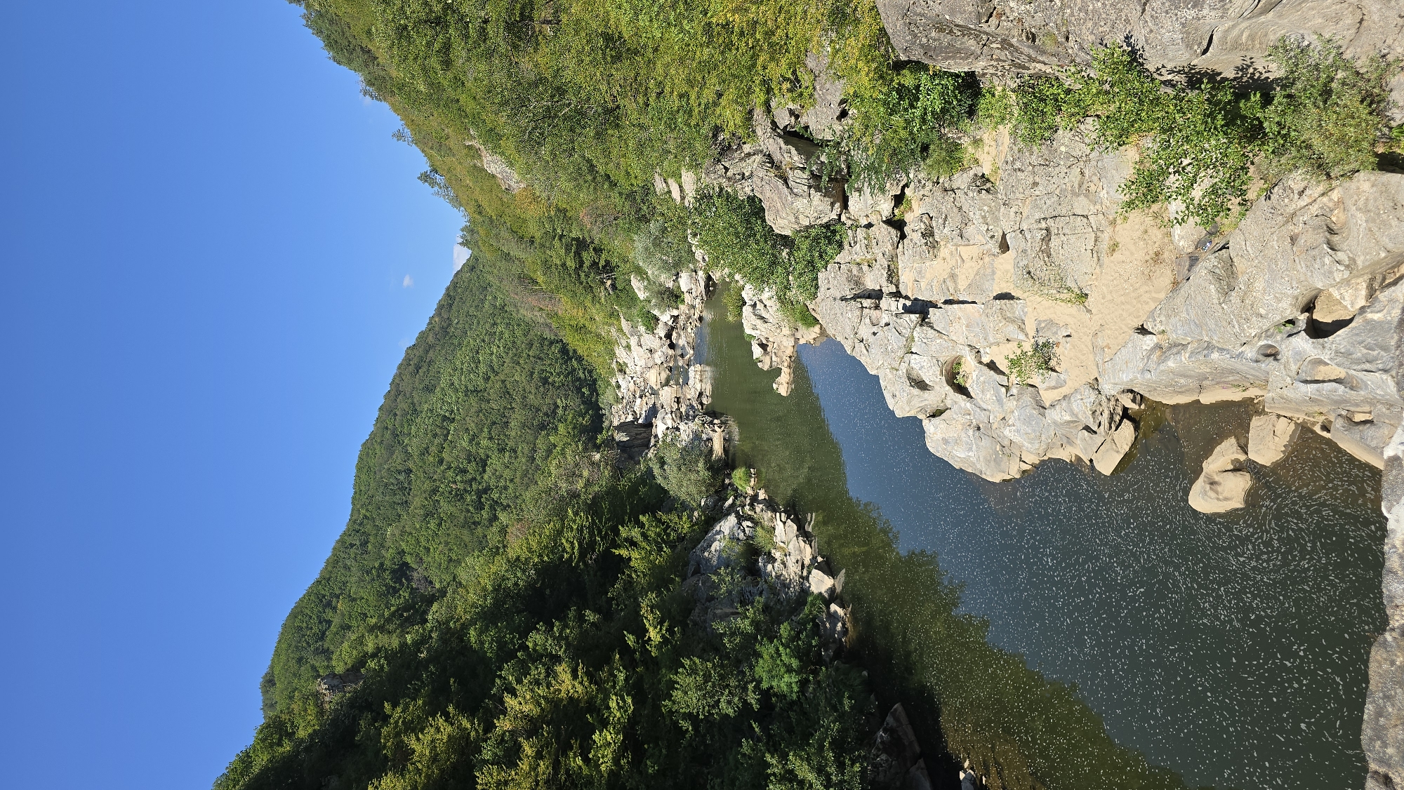 The image depicts a scenic view of a river flowing through a gorge in Diadovtsi, Bulgaria. The river is calm with ripples on the surface, reflecting the clear blue sky above. Both sides of the gorge are covered with lush green trees and vegetation, with rocky formations visible along the riverbanks. The terrain is mountainous and rugged, suggesting a natural and somewhat remote location. The sunlight indicates it is daytime. There are no people or animals visible in the image.