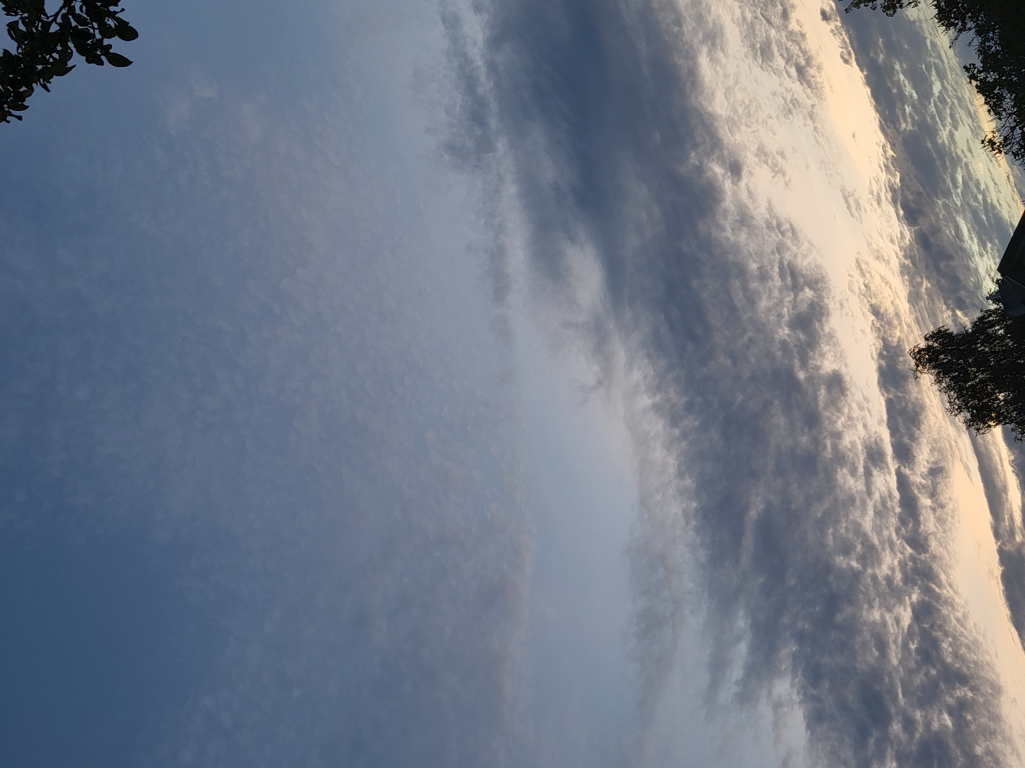 The image shows a sky with scattered clouds at dusk. The sky is a gradient of blue and orange, with darker clouds obscuring parts of the horizon. A tree branch with leaves is visible in the upper right corner, and the tops of trees and a building are visible along the bottom edge of the image. The location is unknown.