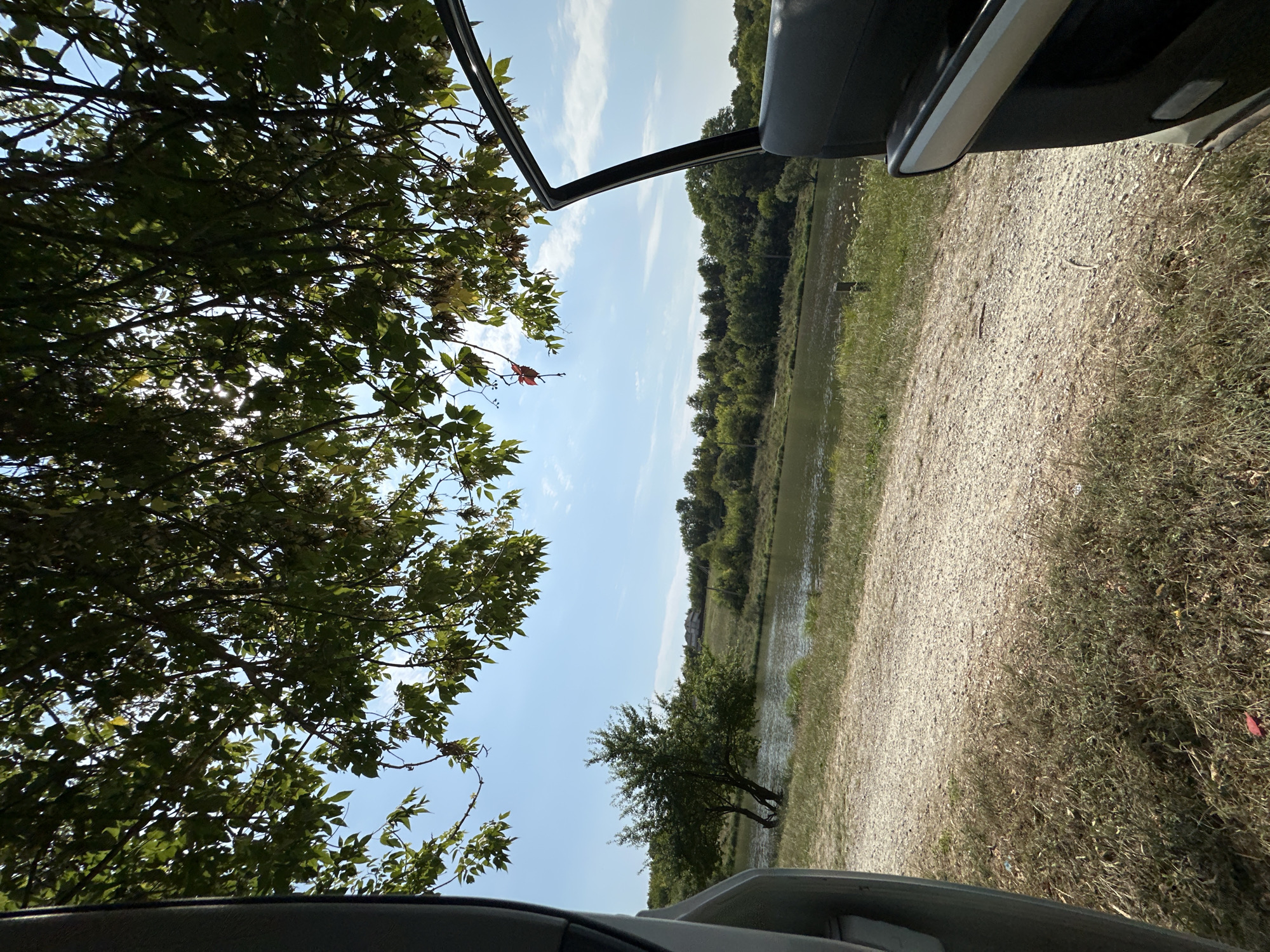 The image depicts a serene natural landscape, likely in or near Makiv, Ukraine, viewed from the open doorway of a vehicle. In the foreground, the interior of a dark-colored car is partially visible on the right, with the door ajar. The ground in front of the car consists of a gravel path transitioning into dry, grassy terrain.
Beyond the immediate foreground, a body of water, possibly a river or lake, stretches horizontally across the middle ground. On the opposite bank, a dense line of deciduous trees forms a verdant backdrop, with a gentle slope rising behind them. A few scattered buildings are discernible on the higher ground in the distance.
Overhead, the branches of a leafy tree canopy obscure a portion of the bright blue sky, allowing sunlight to filter through. A single red leaf hangs prominently from one of the branches. The overall impression is one of a tranquil outdoor setting, likely a place for recreation or a stop along a scenic route.