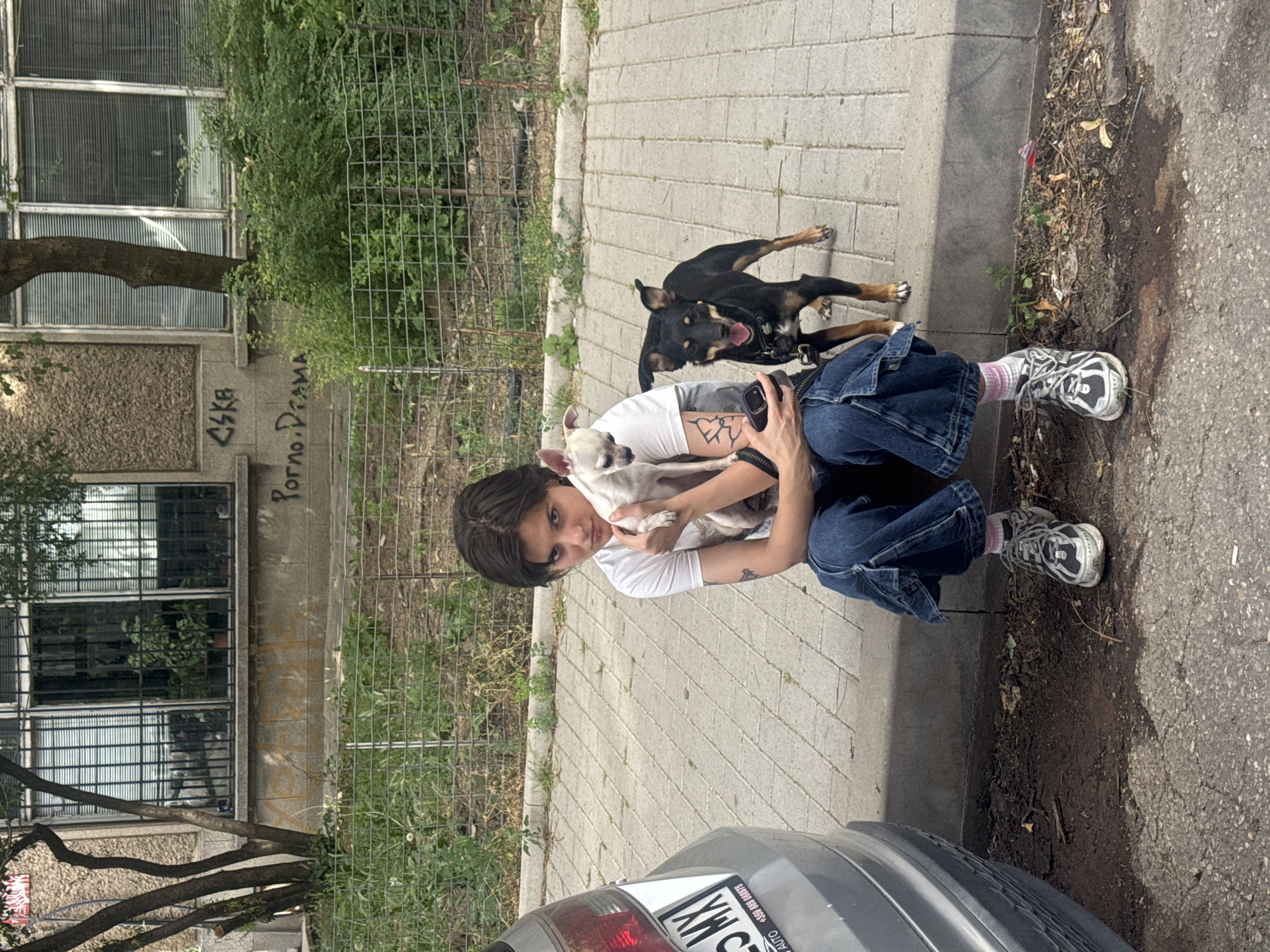 A young person with short dark hair, wearing a white t-shirt, blue baggy jeans, and athletic shoes, sits on a sidewalk curb, holding a small white dog. To the right of the person, a medium-sized black and brown dog stands on the sidewalk, looking towards the camera with its tongue out. The person is also holding a smartphone in their left hand.
Behind the subjects is a grey car, partially visible on the left side of the frame. The sidewalk is made of grey bricks. The background features a building with barred windows, overgrown green bushes, and some graffiti on the building's facade. One piece of graffiti, visible in the upper right quadrant of the image, appears to read "CSKA", and another, lower down, says "Porno.Drama." The building and surrounding area suggest an urban environment, likely in Sofia, Bulgaria, given the license plate on the car which includes "MX" and a Bulgarian phone number format with country code "+359".