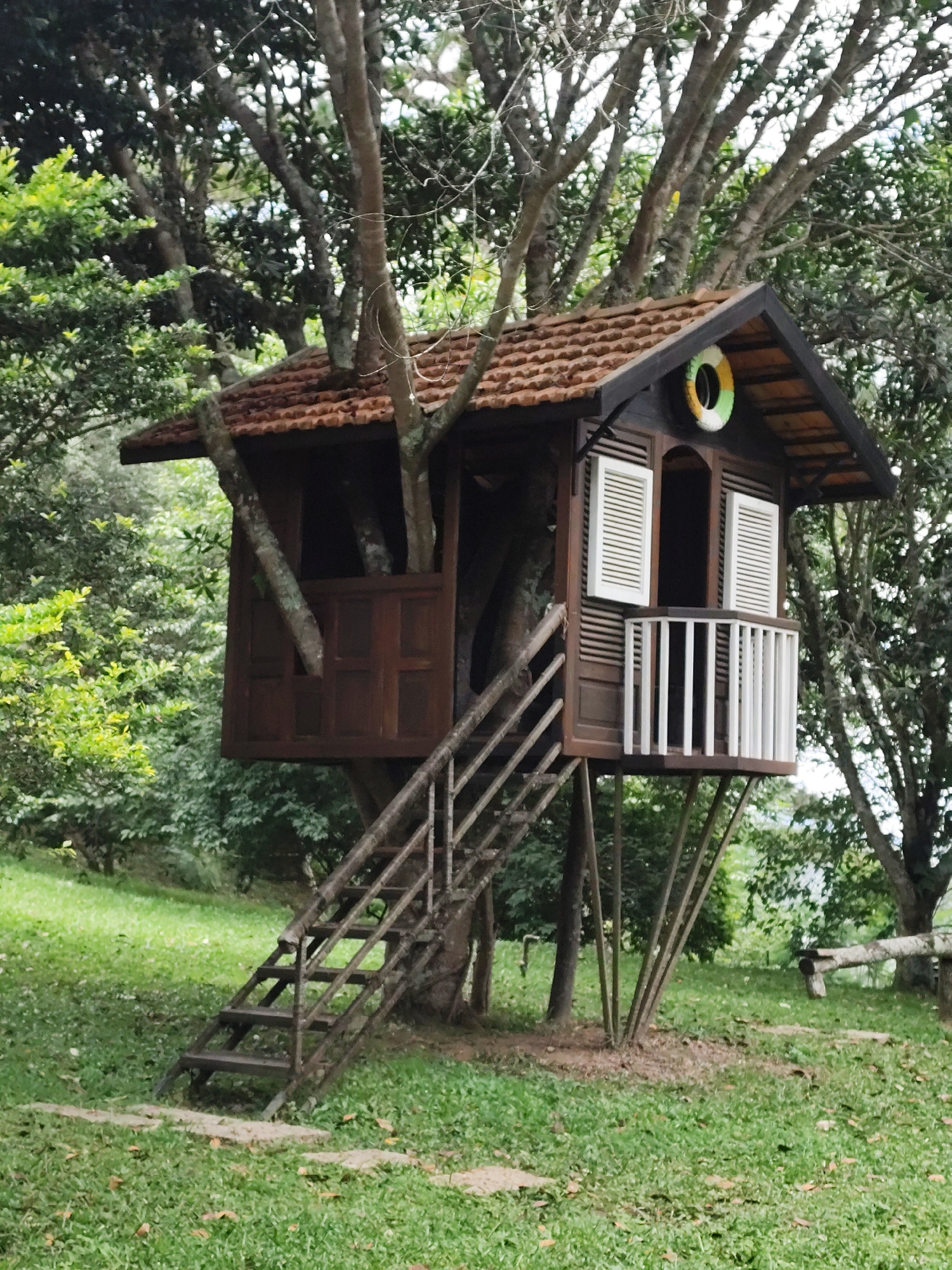 A wooden treehouse is nestled in the branches of a large tree, surrounded by lush greenery. The treehouse has a brown tiled roof, wooden walls, and shutters on the windows. A white railing encloses a small balcony. A wooden staircase leads up to the treehouse. The surrounding environment appears to be a park or garden with grass and other trees. The overall scene is idyllic and peaceful.