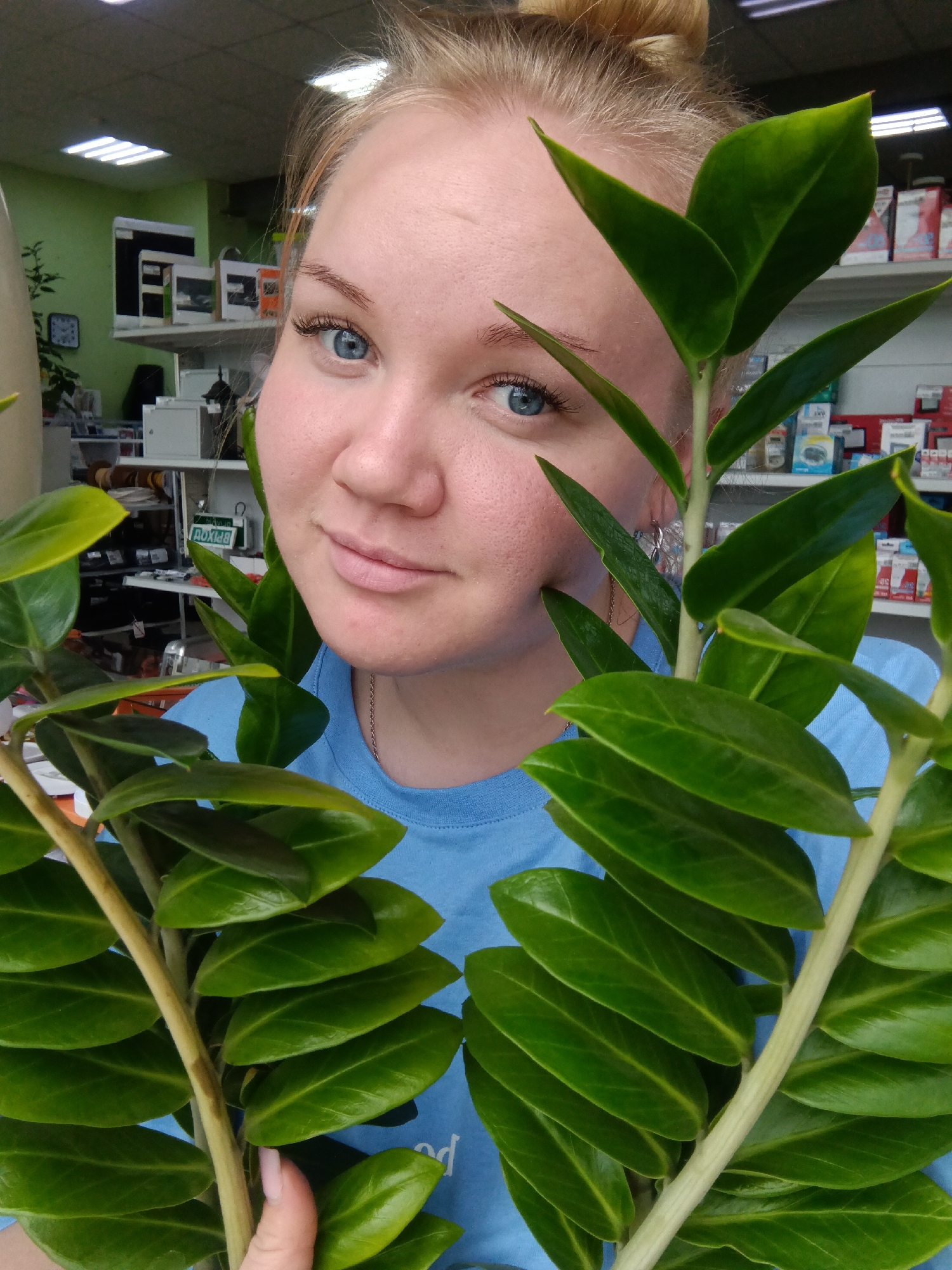 A woman with fair skin and blue eyes is holding two stems of a ZZ plant in front of her. She is wearing a light blue shirt. The background shows a store shelf with various products, a clock, and a green wall. The store is likely located in Фоки, Russia.