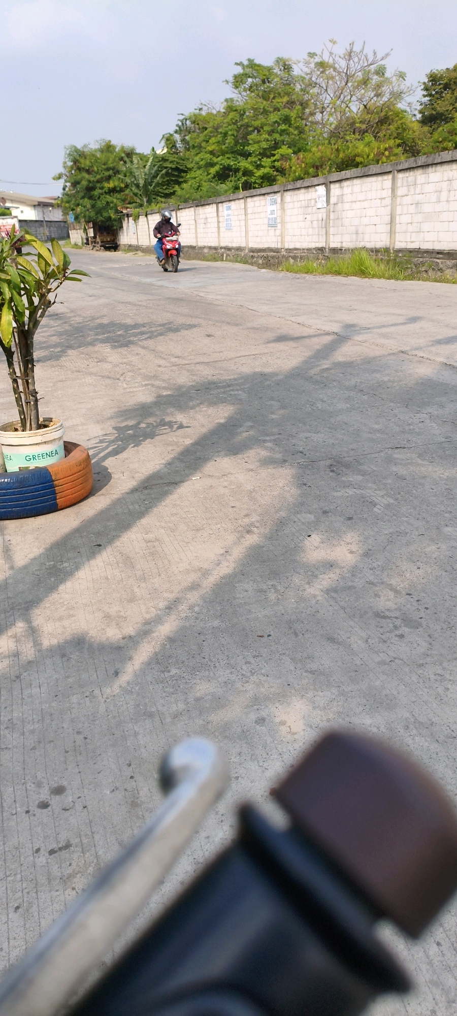 In West Jakarta, Indonesia, a person is riding a red motorcycle on a paved road. The motorcycle is moving away from the camera. The road is flanked by a white brick wall and lush green trees. The sky is clear and bright. In the foreground, a plant is in a white pot, which is placed on top of a repurposed tire that has been painted in segments of orange and blue. The image appears to be taken from the perspective of someone riding on the back of another motorcycle, with the handlebars and part of the seat in the lower right corner of the frame. Shadows are cast on the road by trees and an unseen object, likely the motorcycle the photo is being taken from.