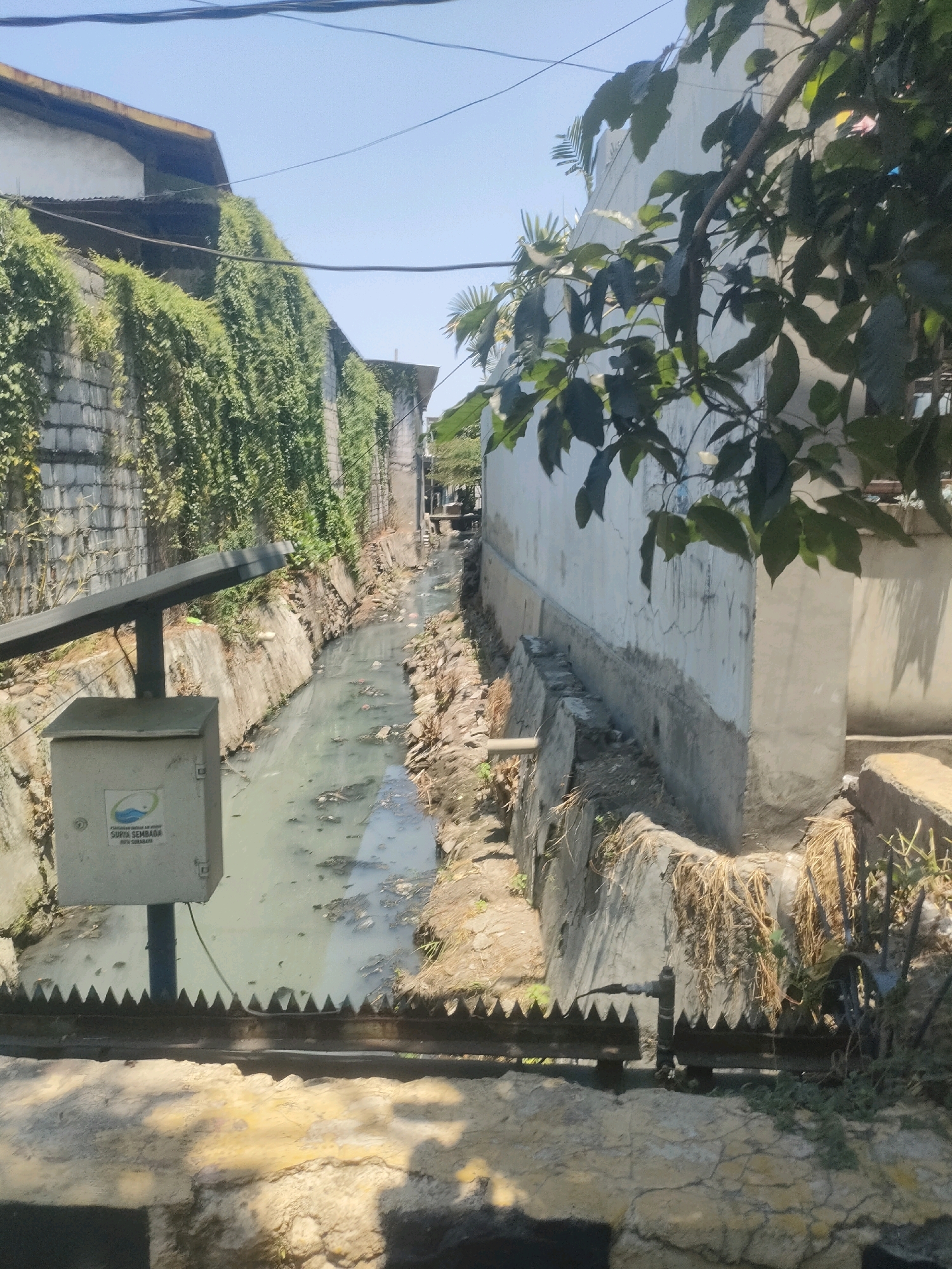 This is a photograph of an open, narrow canal with murky, stagnant water in an urban environment. The canal is flanked by concrete walls. On the left side, a wall is covered in lush green ivy, and a grey utility box with a logo is mounted on a post beside the canal. In the foreground, a toothed metal barrier runs across the frame. On the right side, a white building with some cracks and a gray concrete base rises from the canal's edge, with green foliage hanging from branches in front of it. The canal itself appears to be a drainage channel, with visible debris and discolored water. The sky is clear and blue, suggesting a sunny day. The overall impression is one of an unmaintained urban waterway, likely in a densely populated area of Surabaya, Indonesia, given the logo on the utility box which appears to be from the Surabaya Water Supply Company (PDAM SURYA SEMBADA).