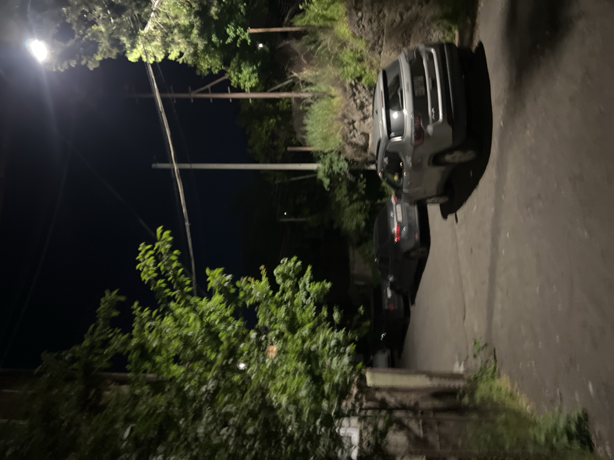 At night, a street in Yerevan, Armenia is captured in a slightly rotated photograph. A light pole illuminates the scene at the top left, with power lines extending across the dark sky behind trees. Two cars, one gray and one black, are parked on the right side of the frame, beside a paved street. To the left, lush green trees and foliage grow along the roadside, obscuring a fence and wall.