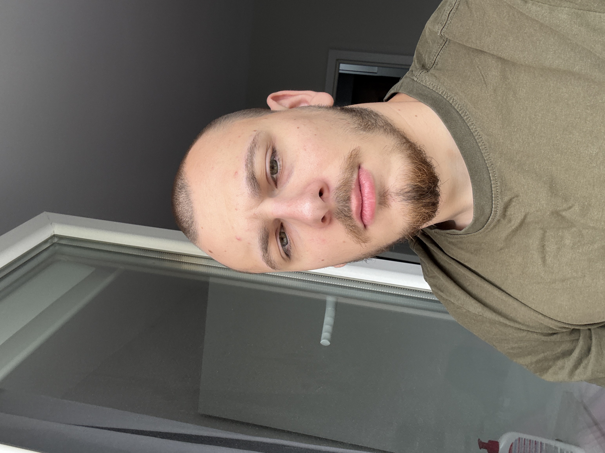 A man with a shaved head, light skin, and a beard is posing for a selfie. He's wearing an olive green t-shirt. He is indoors near a window. Behind him appears to be a doorway. There's no evidence to suggest this photo was taken in Stara Zagora, Bulgaria.