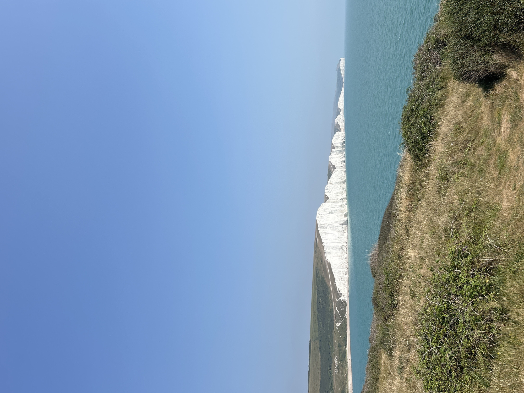 The image depicts a scenic view of the Seven Sisters cliffs near Seaford, United Kingdom. The foreground is dominated by dry, golden-brown grass and green bushes, suggesting a sunny day. In the mid-ground, the turquoise sea stretches out, meeting the iconic white chalk cliffs of the Seven Sisters. These cliffs form a dramatic series of undulating shapes along the coastline. The background is a clear, bright blue sky. No people or animals are visible in the image. The overall environment is natural and coastal.
