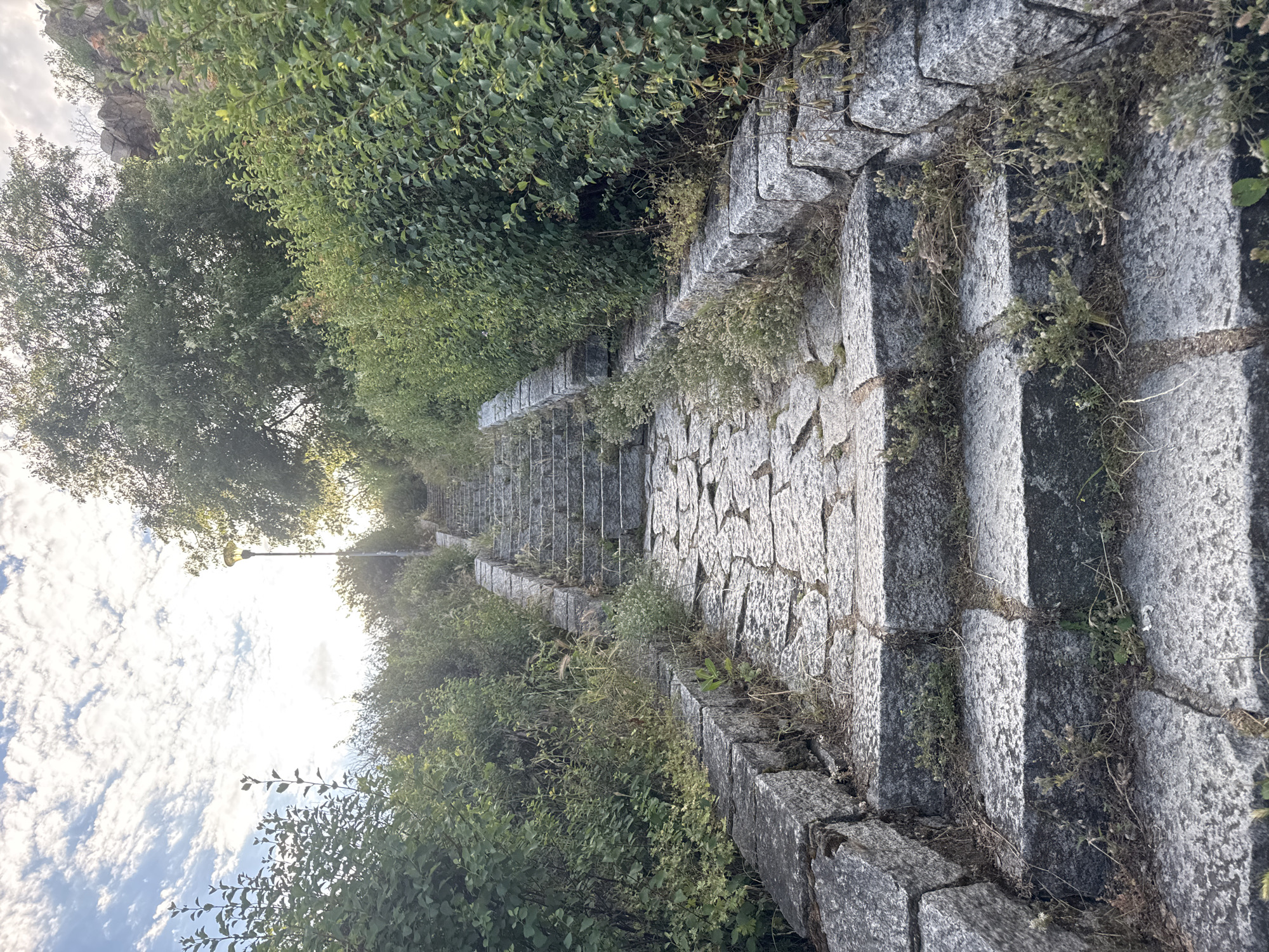 The image shows a long, stone stairway leading uphill in Plovdiv, Bulgaria. The steps are wide and weathered, with cracks and small weeds growing between the stones. The sides of the stairway are lined with dense green bushes and some trees. At the top of the stairs, a lamppost is visible against a bright sky. The overall impression is of an old, historic stairway in a natural setting.