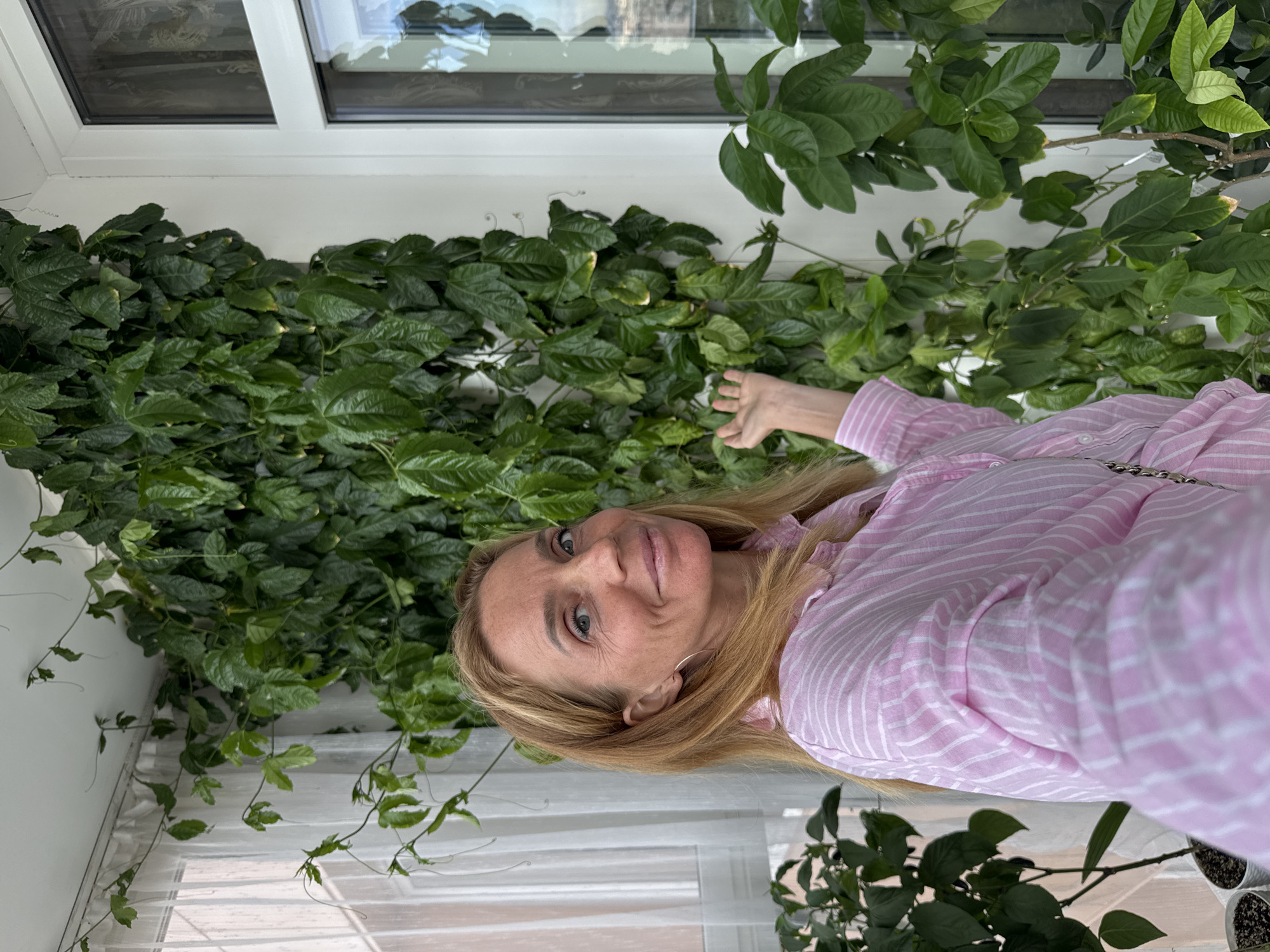A medium shot captures a blonde woman with blue eyes and fair skin, smiling and looking slightly to her right, in front of a lush green vine that climbs a white wall. She is wearing a pink and white striped collared shirt. Her left arm is bent at the elbow, with her hand extended and palm open, as if gesturing towards the vine. The vine is dense and covers a significant portion of the wall. To the left of the woman, sheer white curtains are visible, and beyond them, a window with a frame. To the right, a window with a white frame and tinted glass is partially visible, reflecting the sky and buildings. In the foreground, on the left, parts of two potted plants with green leaves can be seen. The scene appears to be an indoor balcony or a room with abundant natural light. The overall impression is a bright and cheerful domestic setting. The location is identified as Saint Petersburg, Russia.