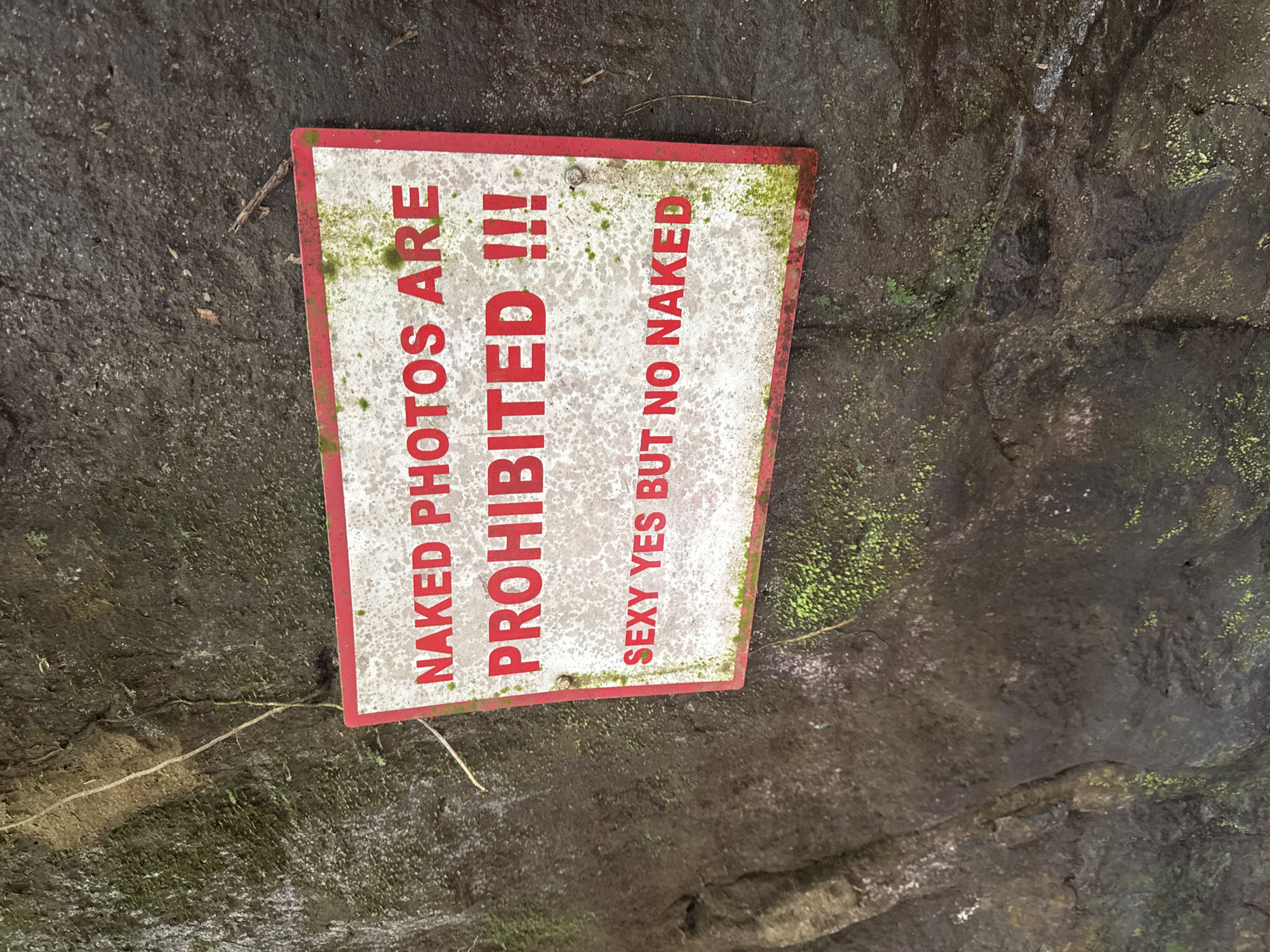 A weathered, white rectangular sign with a red border is affixed to a dark, moss-covered rock face. Red block lettering on the sign reads: "NAKED PHOTOS ARE PROHIBITED !!!". Below this, in smaller red lettering, it says: "SEXY YES BUT NO NAKED". A single screw fastens the sign to the rock on the right side. The rock face is rough and textured, with patches of green moss and some sparse vegetation growing on its surface. The overall lighting suggests an outdoor, possibly shaded environment.