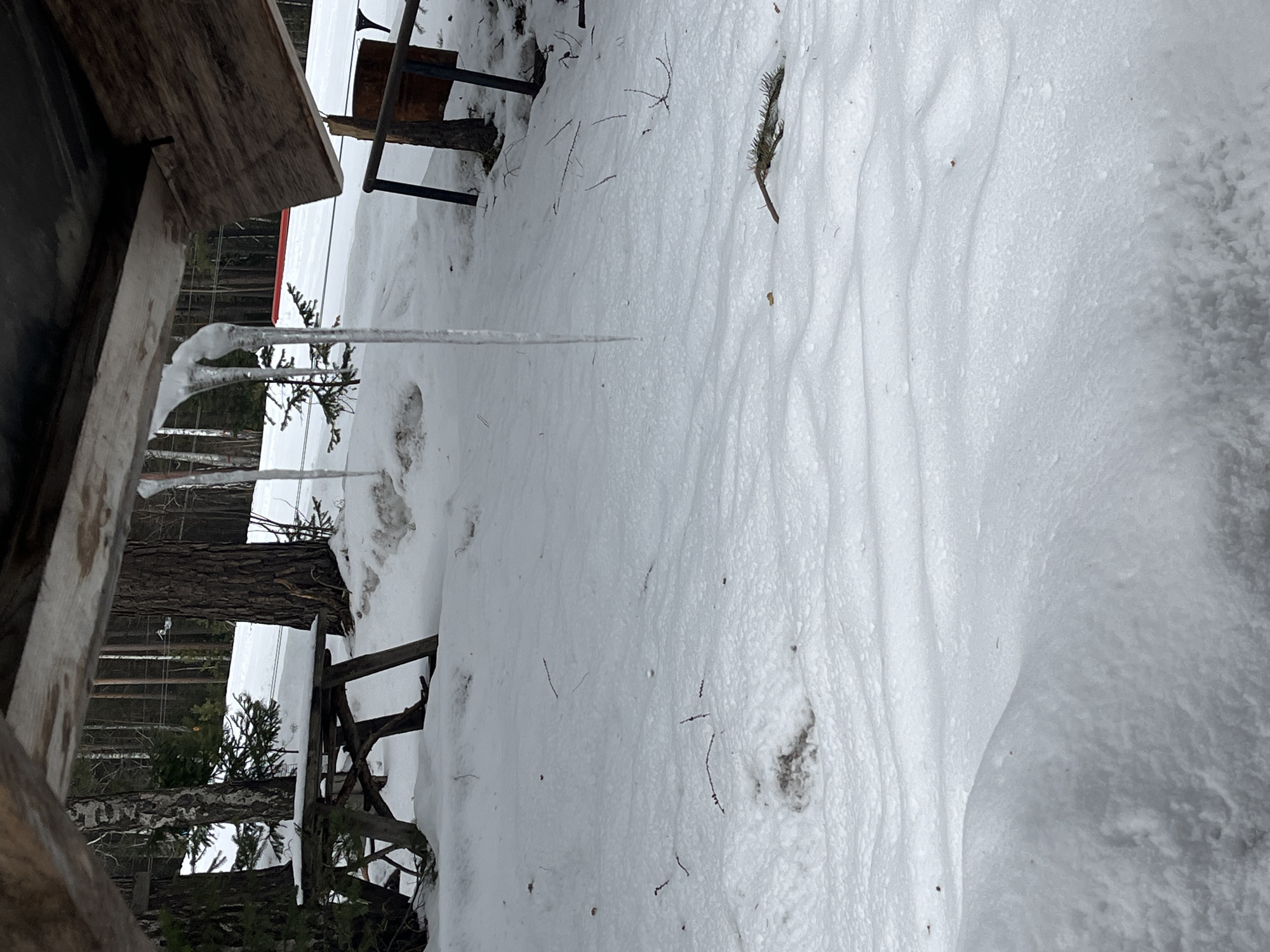The image depicts a snowy outdoor scene, likely in a cold climate where snow cover is persistent. The foreground is dominated by a snow-covered ground, showing some texture and unevenness. Several icicles are hanging from a wooden structure to the left of the frame. There are also sections of wooden structures, perhaps part of a building or a deck, visible on both sides of the image. Some vegetation, like small trees and evergreen branches, is interspersed with the snow. A metal-framed table or bench is also partially visible. The image appears to be taken during the daytime under overcast conditions, given the soft, diffused lighting.