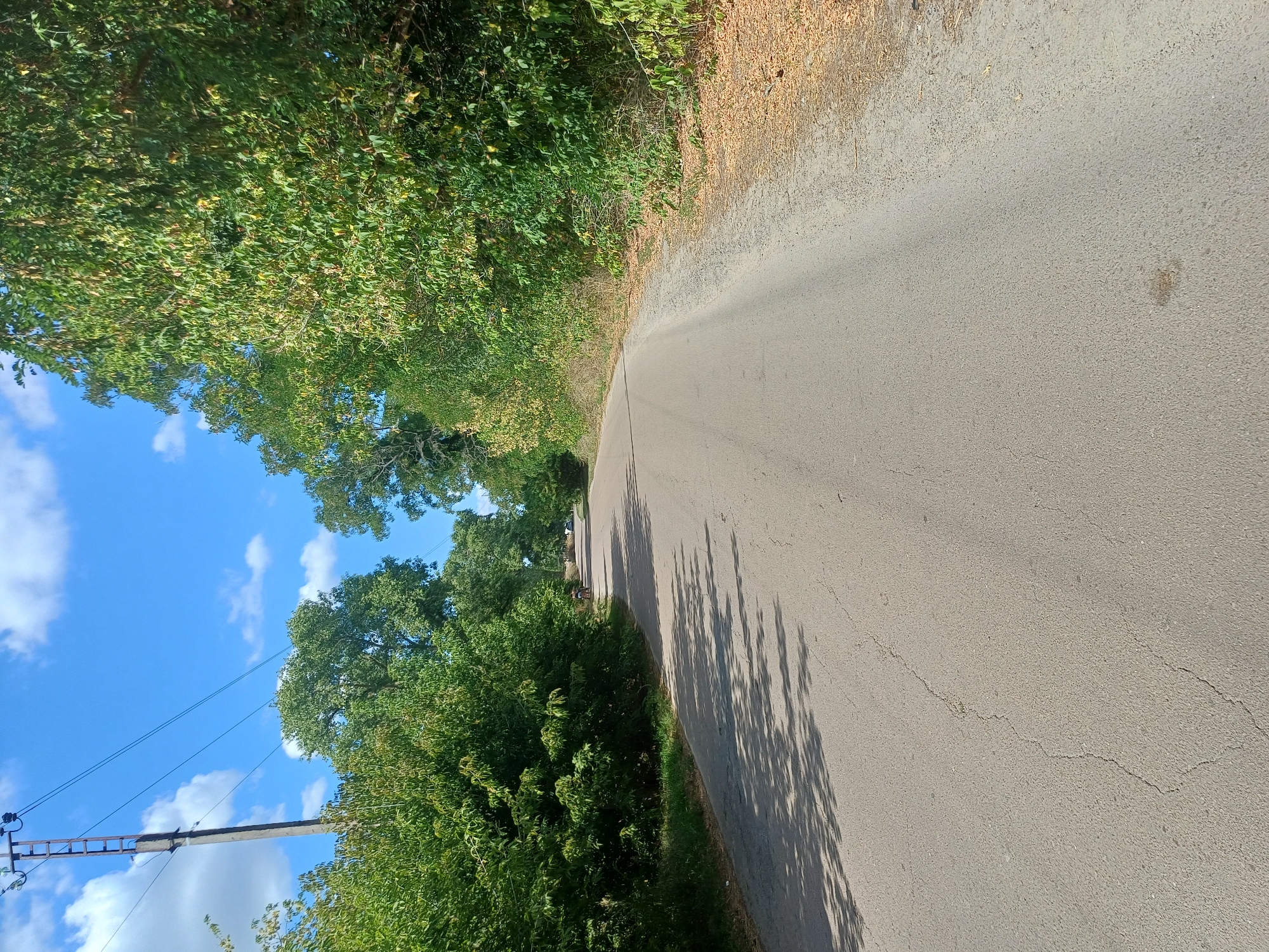 A paved road in Sulymivka, Ukraine, winds through a tree-lined rural setting under a bright blue sky with scattered white clouds. The road surface exhibits visible cracks and a dark stain. On the left side of the road, dense green foliage lines the shoulder, casting dappled shadows across the asphalt. Further down the road, a lone individual on a bicycle is visible, cycling away from the camera. On the right side of the road, the foliage is less dense, with dry leaves and twigs scattered on the ground. A utility pole with wires stands near the left edge of the frame in the foreground. The overall impression is a tranquil, sunny day on a quiet country road.