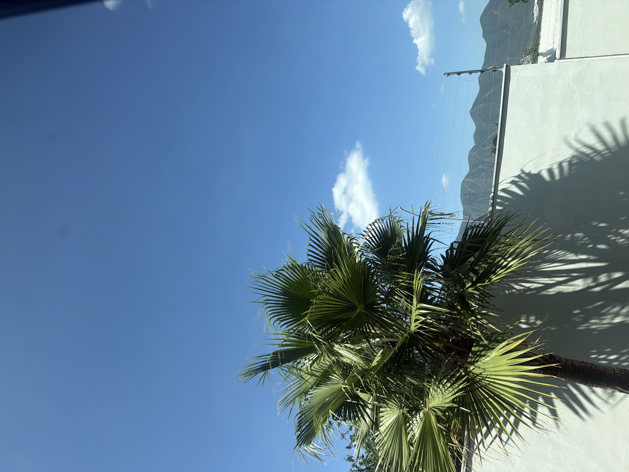 The image captures a sunlit outdoor scene with a palm tree in the foreground, casting shadows on a white stucco wall. The sky is a clear, bright blue with a few scattered white clouds. In the background, a range of green, undulating mountains is visible, characteristic of the landscape surrounding Monterrey, Mexico. A thin electric fence runs along the top of the wall, with a single fence post to the right. The scene suggests a residential or private outdoor space, possibly a backyard or patio, in a location that experiences a clear, warm climate. There are no people or animals present.