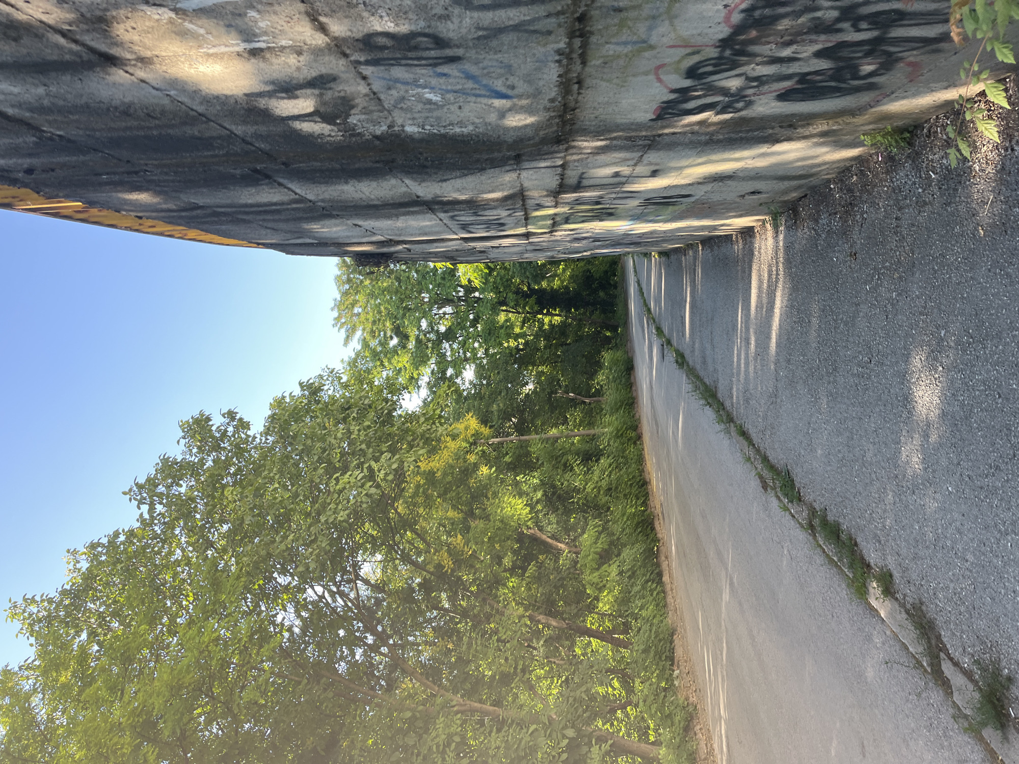 The image depicts an outdoor scene with a concrete wall on the right, covered in graffiti. The wall is rough and weathered, with a yellow band along its top edge. To the left of the wall is a paved pathway, which appears to be a sidewalk or a bike lane, running alongside a road. The road itself is also paved and curves to the left. Dense green trees and foliage line the left side of the road, with sunlight filtering through the leaves, creating dappled shadows on the ground and road. The sky above is clear and blue. The overall impression is that of a pathway or road bordered by natural greenery on one side and a man-made structure on the other, possibly under or alongside an elevated structure given the imposing nature of the wall.