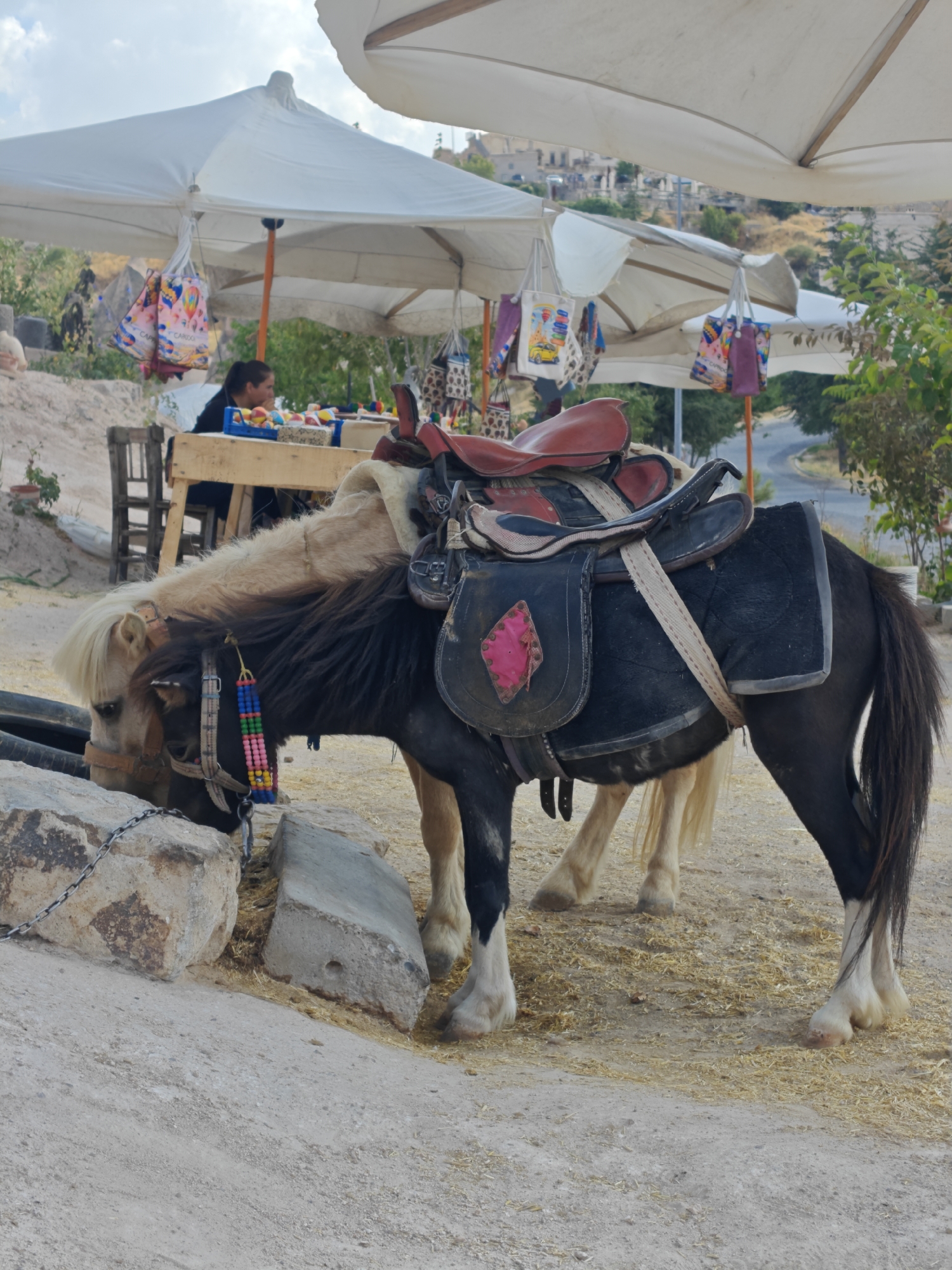 In Uçhisar Beldesi, Turkey, two miniature horses stand tethered near a roadside stall under large white umbrellas. The horse in the foreground, a dappled grey and black pony, wears a saddle with a red seat and black padding adorned with a pink diamond-shaped embellishment. It has a colorful beaded garland around its neck. The pony is reaching down to eat from the ground, which is covered with straw and dirt. Behind it, a lighter-colored pony is partially visible. A woman is seated at a wooden table in the background, in front of the stall, which displays various colorful bags and trinkets. The environment appears to be outdoors, with rocky, arid terrain and some greenery. A paved road is visible in the distance.