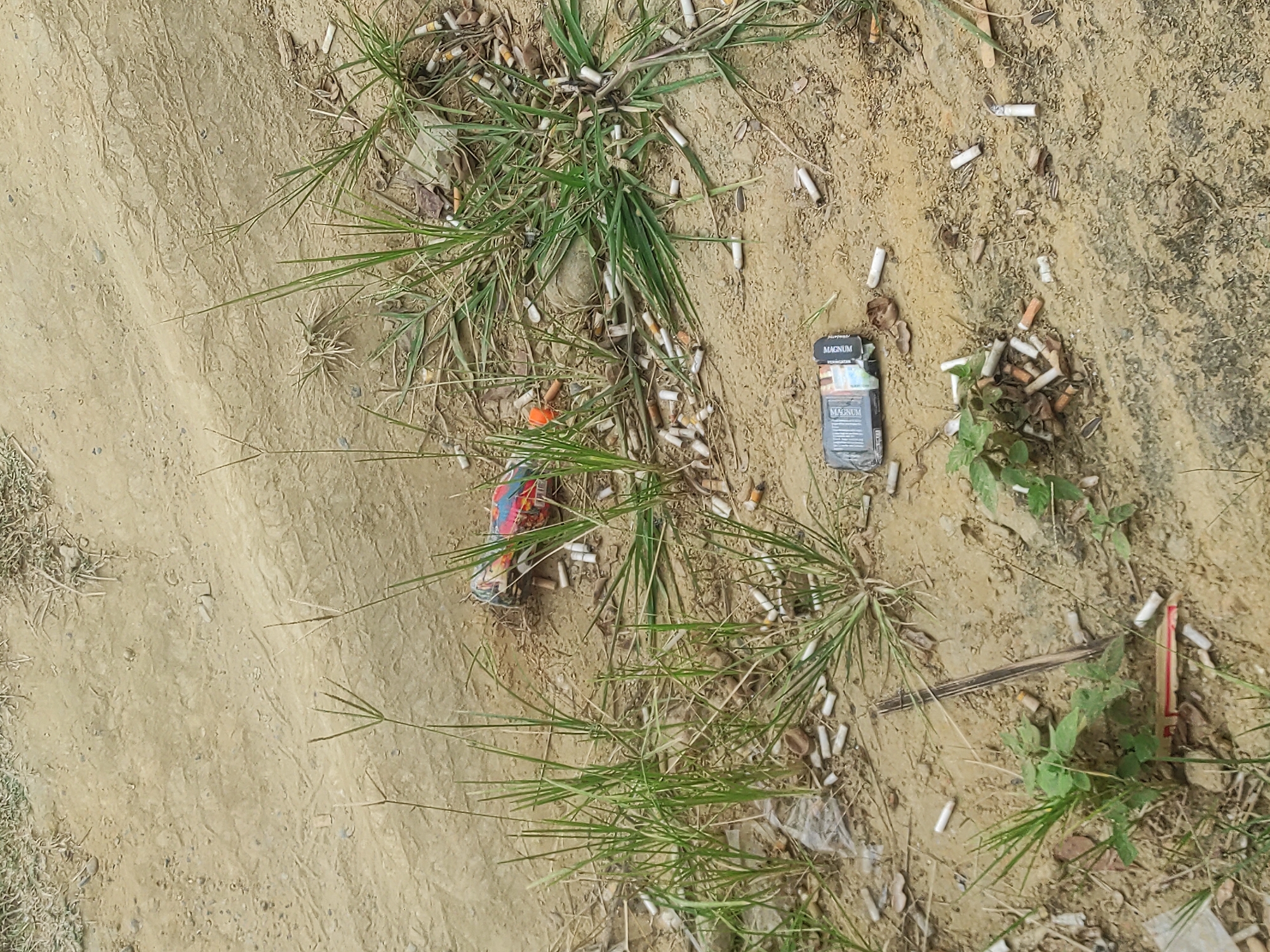 The image depicts a littered patch of dirt and sparse vegetation, possibly a roadside or undeveloped area in Lhokseumawe, Indonesia. The ground is predominantly sandy-brown earth with visible tire tracks. Scattered across the scene are numerous cigarette butts, some appearing recently discarded and others weathered. A partially crushed pack of "MAGNUM" cigarettes lies on the ground in the lower left portion of the frame. In the upper right, a colorful, crushed beverage can is visible. Several patches of green grass and weeds are growing amidst the debris. The overall impression is one of neglect and pollution.
