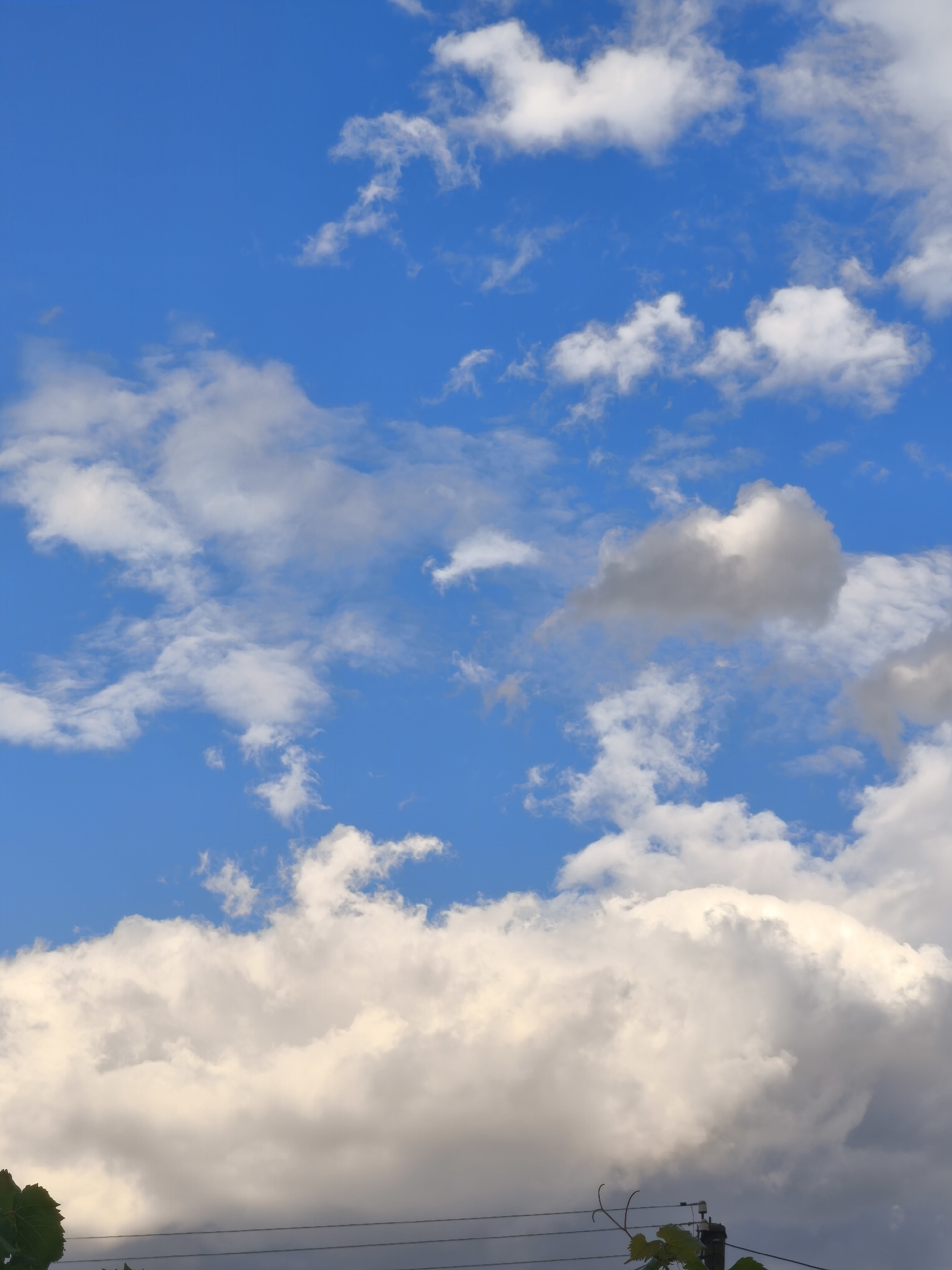 This is a low-angle, vertical, medium shot of a partly cloudy sky above Beșghioz, Moldova. The sky is a vibrant blue, dotted with various white and gray clouds. The clouds vary in size and density, with some appearing wispy and thin, while others are larger and more substantial. In the foreground, silhouetted against the sky, are parts of a utility pole with wires and a leafy green vine. The lighting suggests it is daytime, with the sun illuminating the clouds from above. The overall impression is one of a typical summer sky in the region.