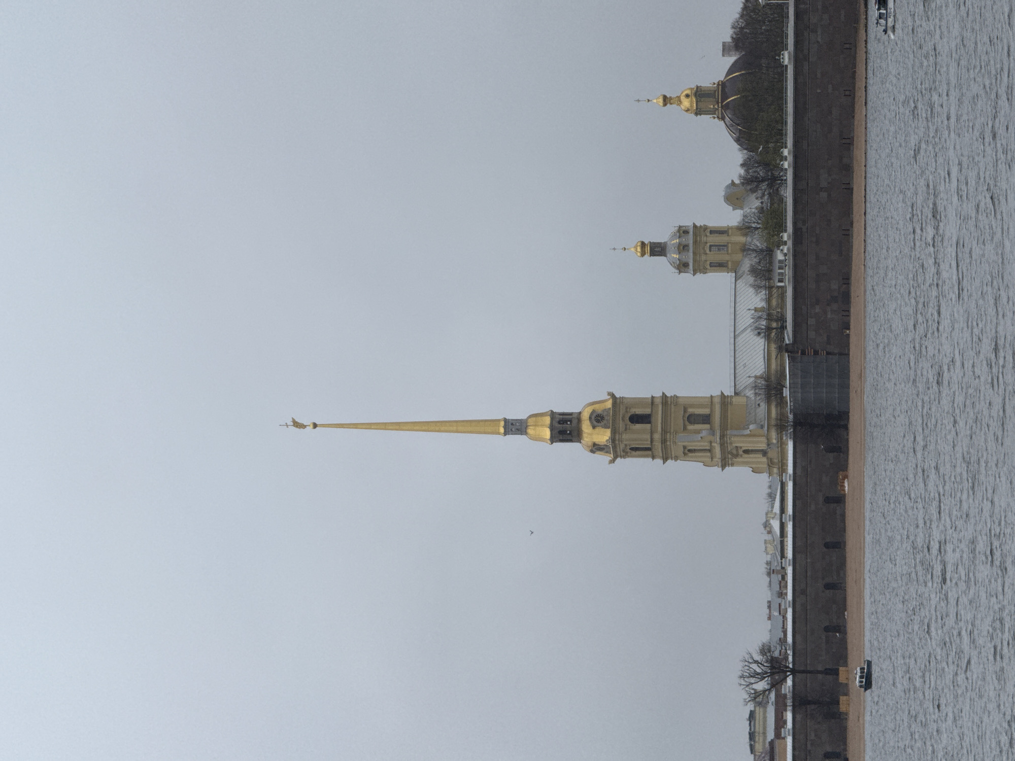 The image shows the Peter and Paul Fortress in Saint Petersburg, Russia, oriented vertically. The fortress buildings are mostly gold in color and are located on the edge of the water, along a stone embankment. The sky is gray and overcast. The water is a muted gray color. In the distance, other buildings with golden domes are visible. A bird is flying in the air near the main spire of the fortress. A small white boat is visible near the shoreline. Bare trees are interspersed along the embankment.