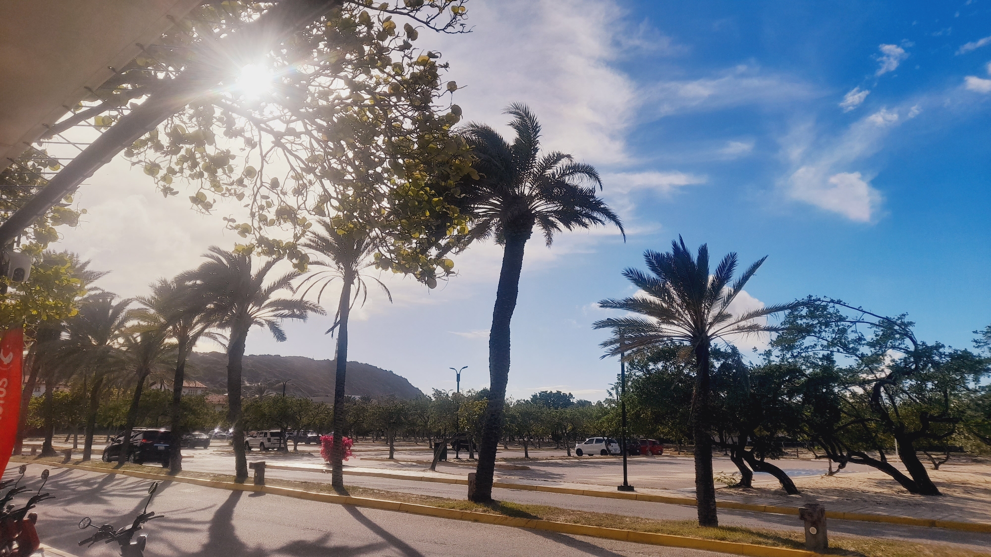 The image shows a sunny day with a bright sun peeking through the branches of trees, casting long shadows on a paved road. Several palm trees line the road, some with their fronds swaying in the breeze. In the background, there are more trees, a light-colored hill, and a clear blue sky with some scattered white clouds. The scene appears to be a public area, possibly a street or a park in the city of Pedro González, Venezuela, given the presence of parked cars and what look like streetlights and a traffic signal. Some motorcycles are visible in the foreground, parked on the side of the road. The overall impression is a tropical or subtropical setting with lush vegetation and bright sunlight.