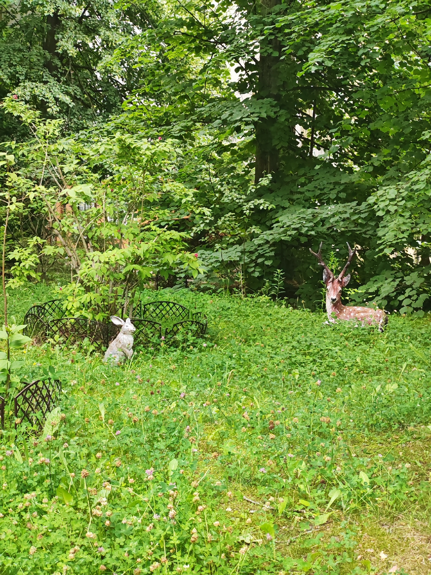 The image shows a garden scene in Svetlogorsk, Russia. In the foreground, there is lush green grass with scattered pink and white clover flowers. Two decorative garden figures are visible: a white rabbit figure sitting upright near the left side of the image, and a deer figure with antlers lying down on the right side. Both figures are surrounded by the dense foliage. Behind the figures, a dense array of green trees and bushes forms a thick canopy, creating a shaded environment. There are also some black decorative fences scattered throughout the grass. The overall impression is one of a tranquil, nature-inspired garden setting.