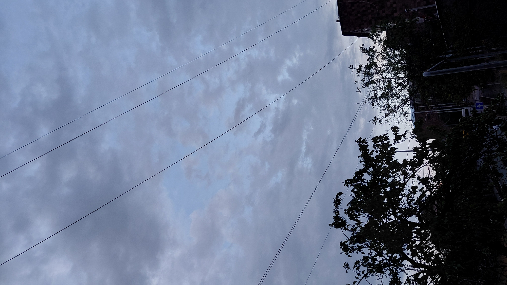 The image depicts a dusky sky over a residential area in Abovyan, Armenia. Four parallel power lines stretch diagonally across the frame, from the top left towards the bottom right. The sky is filled with overcast, gray clouds with some lighter patches indicating the setting or rising sun. In the foreground, the silhouetted branches of leafy trees obscure the lower part of the image. To the right, a portion of a building with a dark, textured roof is visible. The overall scene suggests a calm, quiet evening in a suburban or urban setting.