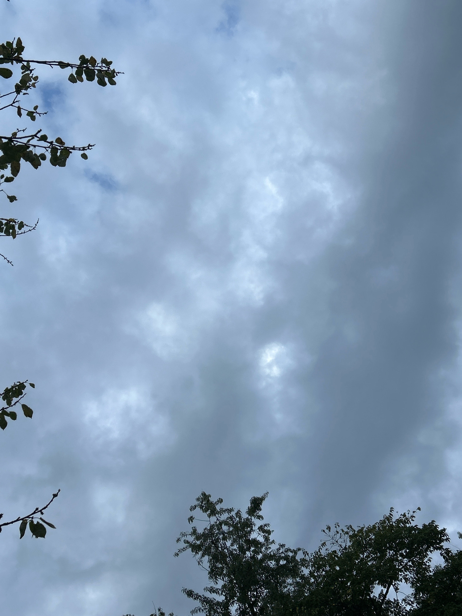 The image shows a view of a cloudy sky from below, with the tops of trees silhouetted against the overcast sky. The branches of trees with a few sparse leaves are visible in the upper left and lower left quadrants of the frame. The bottom edge of the frame shows the dense foliage of trees. The sky is filled with a mixture of gray and white clouds, with some areas appearing brighter where sunlight is attempting to break through. The lighting suggests it may be daytime, but the heavy cloud cover is obscuring direct sunlight. There are no people or visible man-made structures in the image. The scene is captured from a ground-level perspective looking upwards.