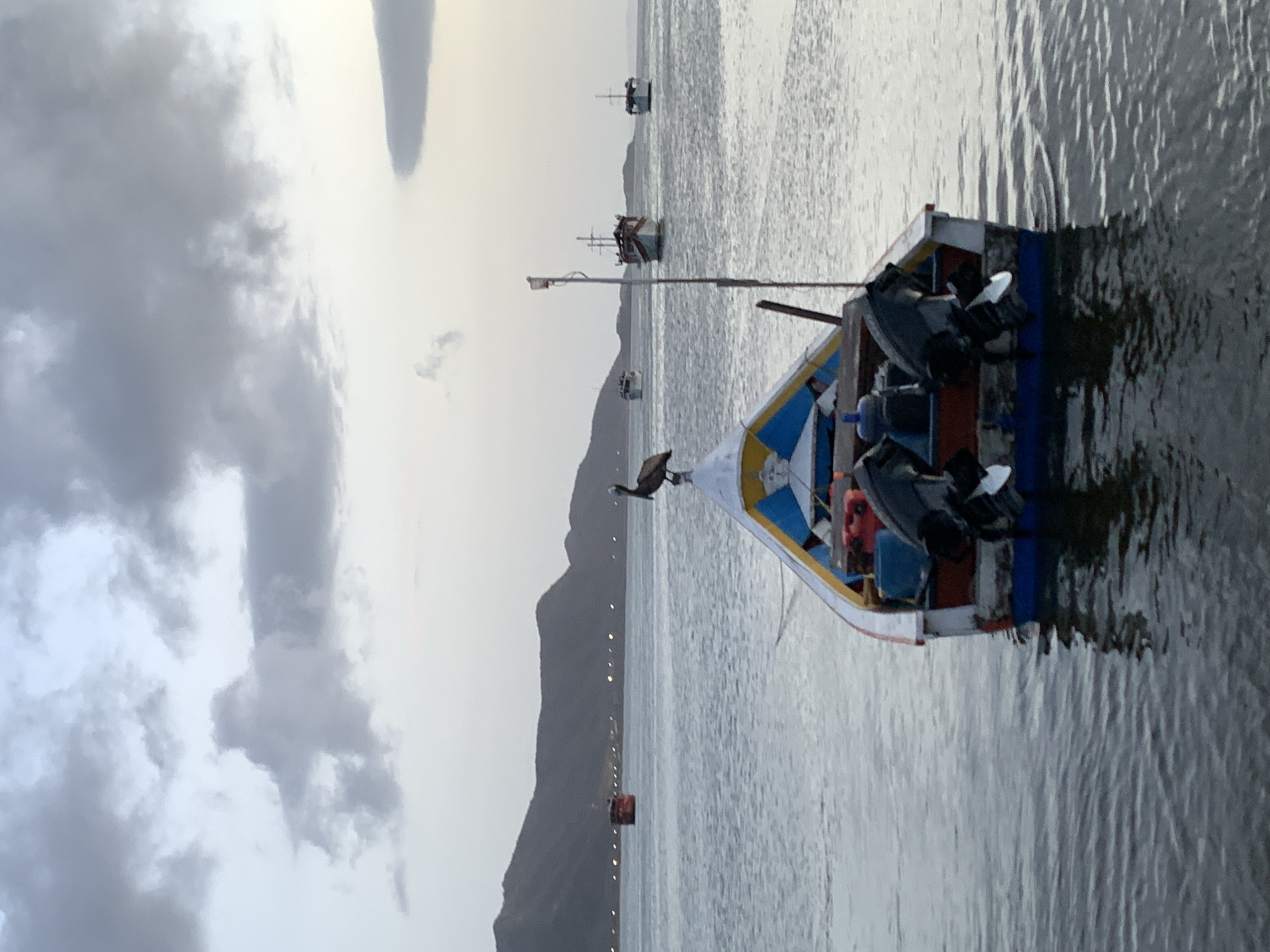 In Juan Griego, Venezuela, at the harbor, a pelican perches atop a colorful, medium-sized fishing boat. The boat, with its twin outboard motors, is the primary focus. The water is calm and reflects the overcast sky, which is filled with dramatic, textured clouds. In the distance, several other boats, including a larger, traditional sailing vessel, are visible on the horizon. The silhouette of a mountainous coastline, dotted with faint lights, frames the scene.