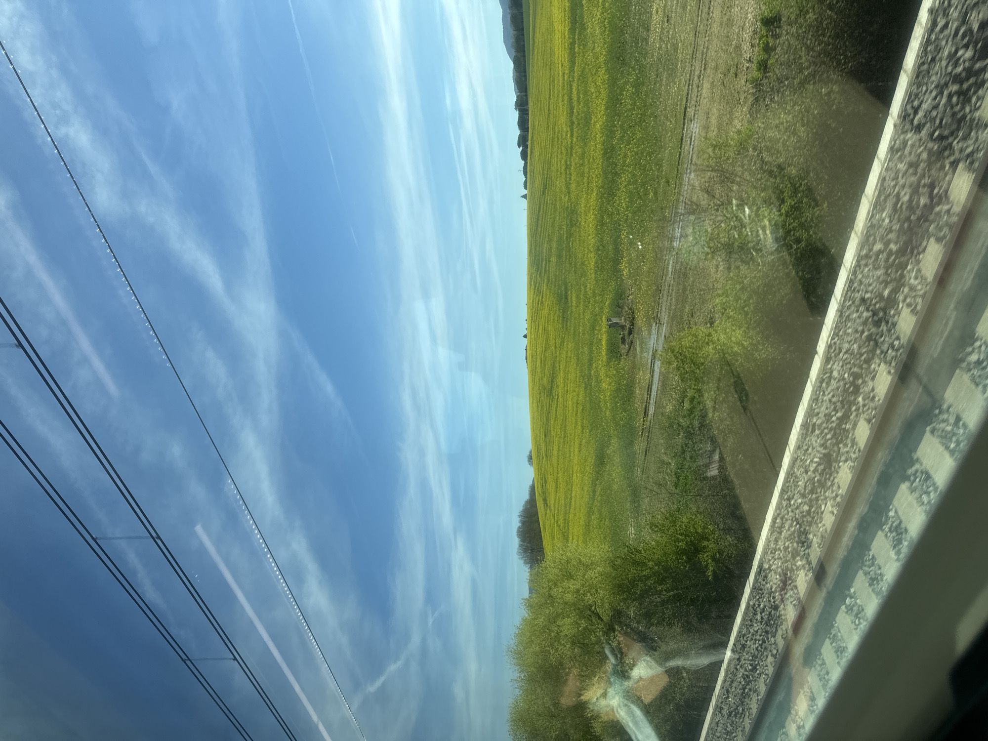 The image shows a view from a train window, likely in transit. A vibrant yellow field dominates the center, possibly rapeseed or mustard flowers, stretching towards the horizon where a faint line of trees is visible. The sky above is a clear blue with wispy white clouds. Power lines are stretched across the sky, entering the frame from the left. The lower right of the frame shows a section of a train window. The exact location within Castiglion Fiorentino is impossible to determine without additional landmarks or contextual information.