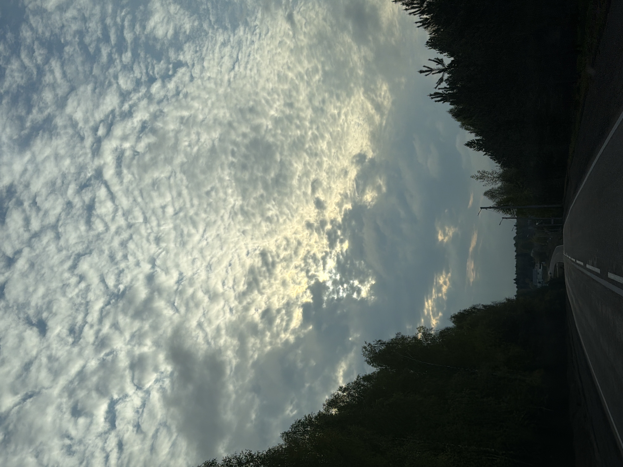The image depicts a road in Chaikovsky, Russia, adjacent to a dense tree line. The sky is filled with textured clouds, some illuminated by the sun. A portion of the road is visible on the right side of the image, marked with a white line. The photograph is taken from a low angle, accentuating the sky and tree canopy.
