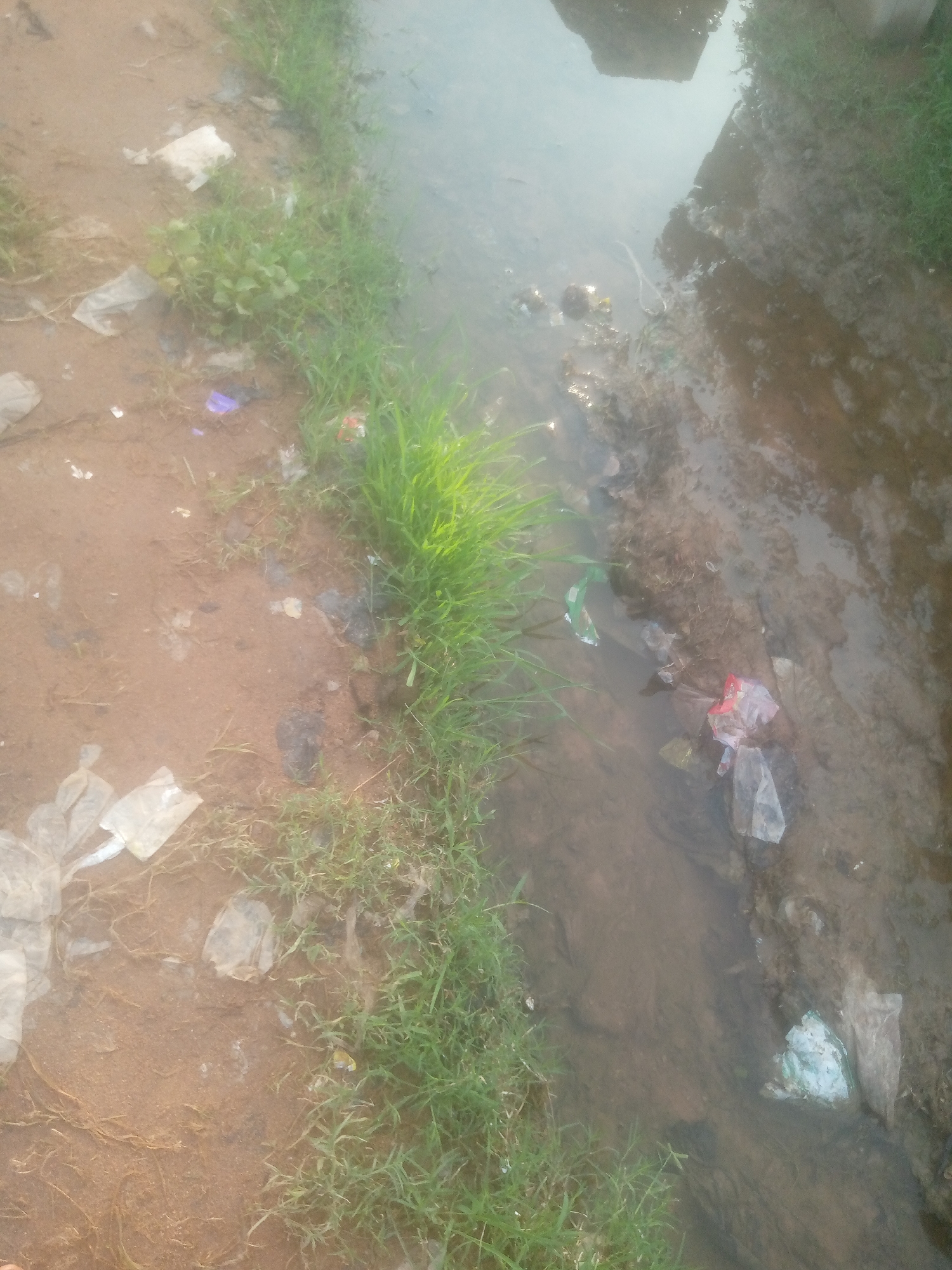 The image depicts a roadside ditch filled with murky water, situated in Jalingo, Nigeria. The ditch is overgrown with lush green grass along its edges. Debris, including various plastic bags and wrappers, is scattered in and around the ditch, indicating a lack of proper waste management. The water itself appears stagnant and polluted, reflecting the surrounding environment. The overall scene suggests an unkempt and unsanitary urban area. There are no people visible in the image, and the focus is solely on the environmental condition of the ditch and its surroundings.