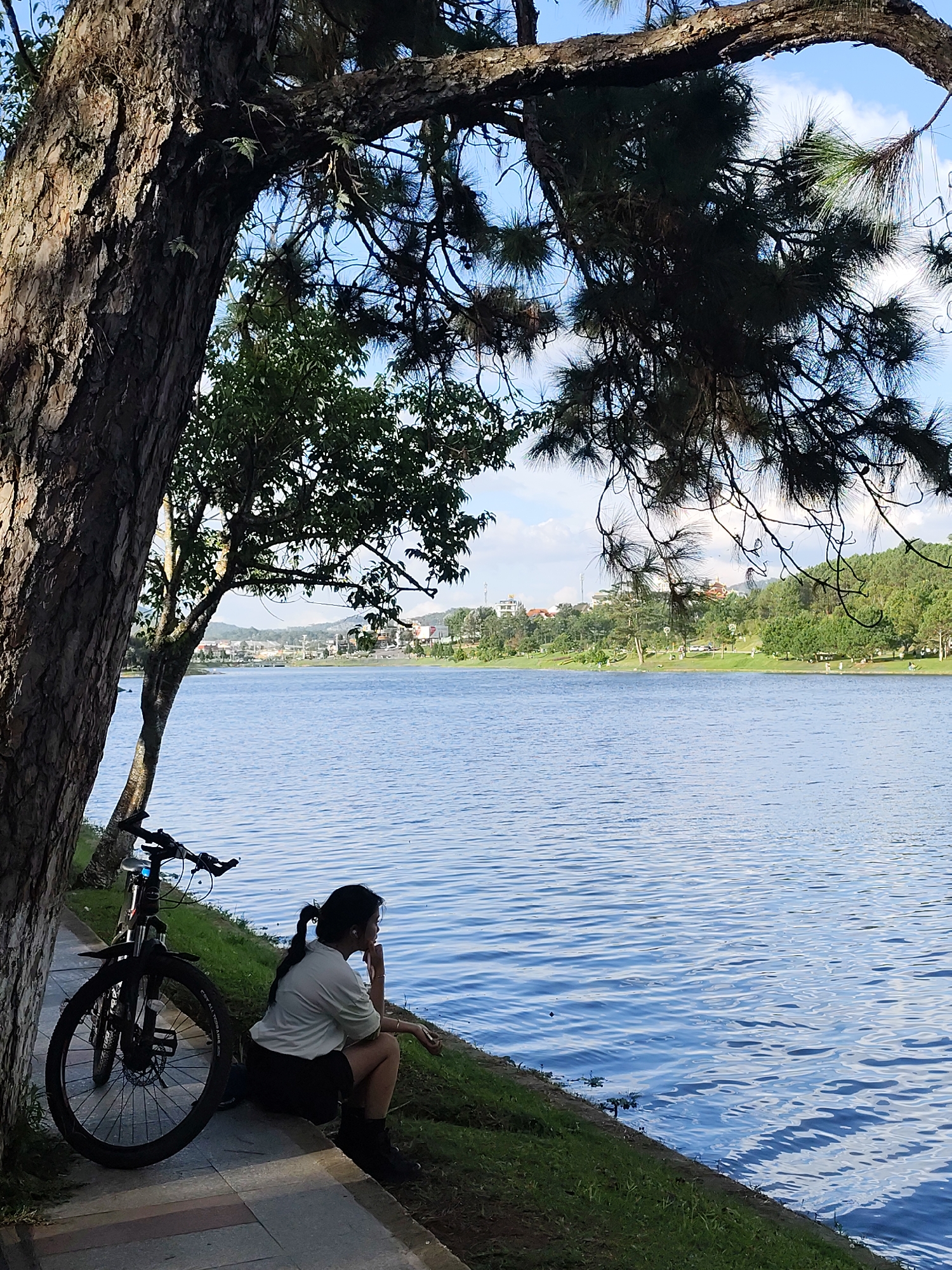 A young woman with dark hair in a ponytail, wearing a light-colored t-shirt and black shorts, sits on a stone embankment next to a large tree trunk. Her right arm rests on her knee, and she is looking out at a body of water. Beside her, leaning against the tree, is a dark-colored bicycle. The water is calm with gentle ripples, reflecting the sky and surrounding trees. In the background, across the water, is a tree-lined embankment with buildings and hills visible in the distance. The scene appears to be a park or lakeside area in Da Lat, Vietnam, likely Xuan Huong Lake, given the characteristic pine trees and urban landscape. The lighting suggests it is daytime, possibly late afternoon, with the sun casting shadows from the tree branches.